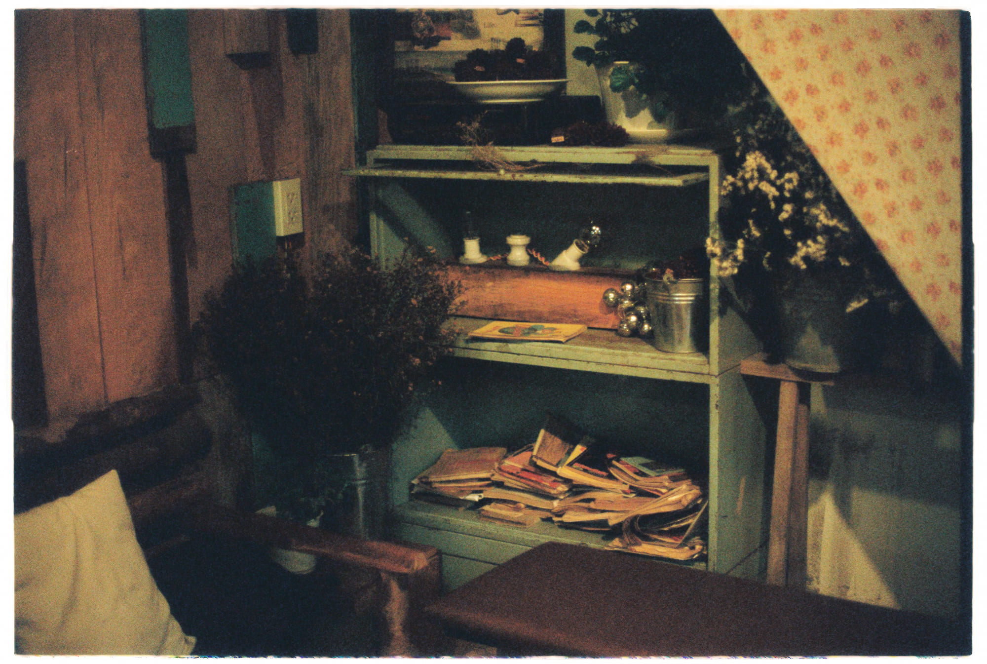 Tham vọng đạo đức thay thế vị tha hiệu quả