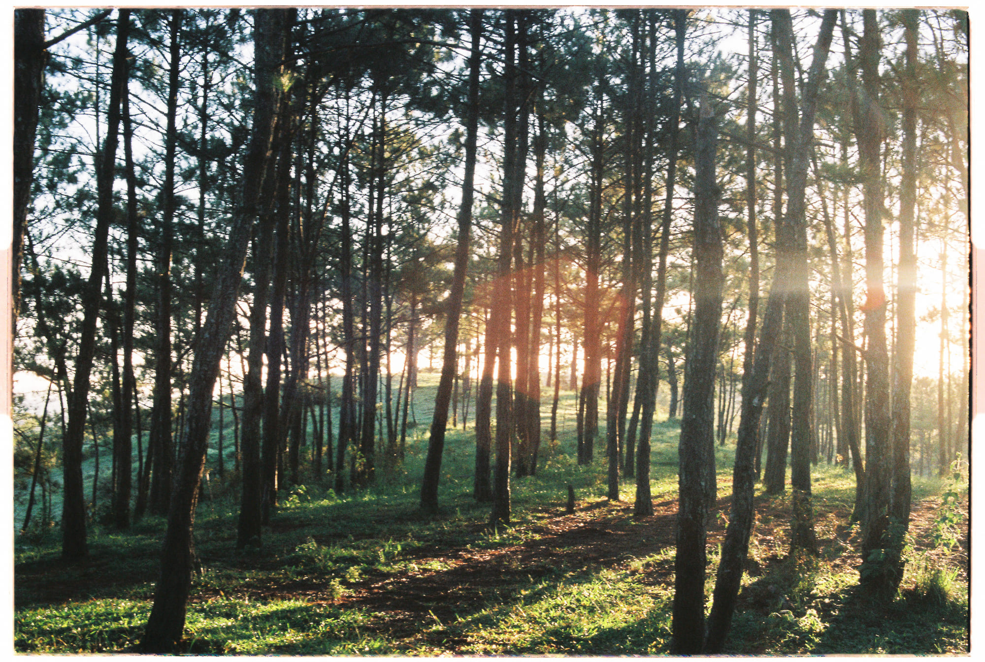 Sống trọn vẹn từng khoảnh khắc như thiền sư