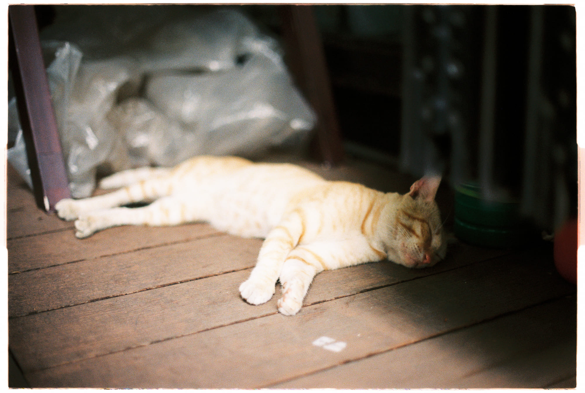 Trung tâm nghiên cứu văn học, phát triển nhà văn Việt Nam
