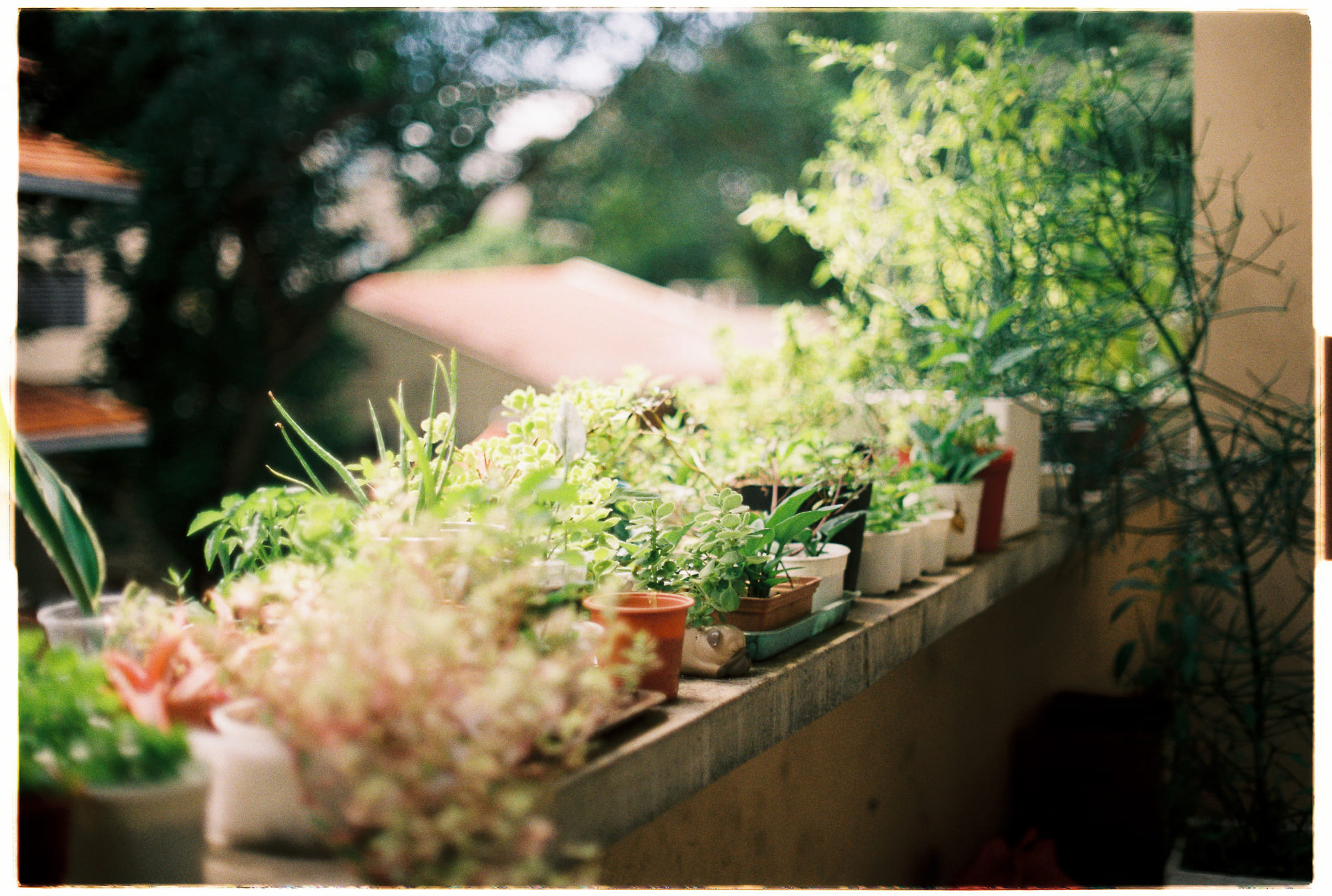 Trung tâm phát triển văn hóa đọc Nhà văn