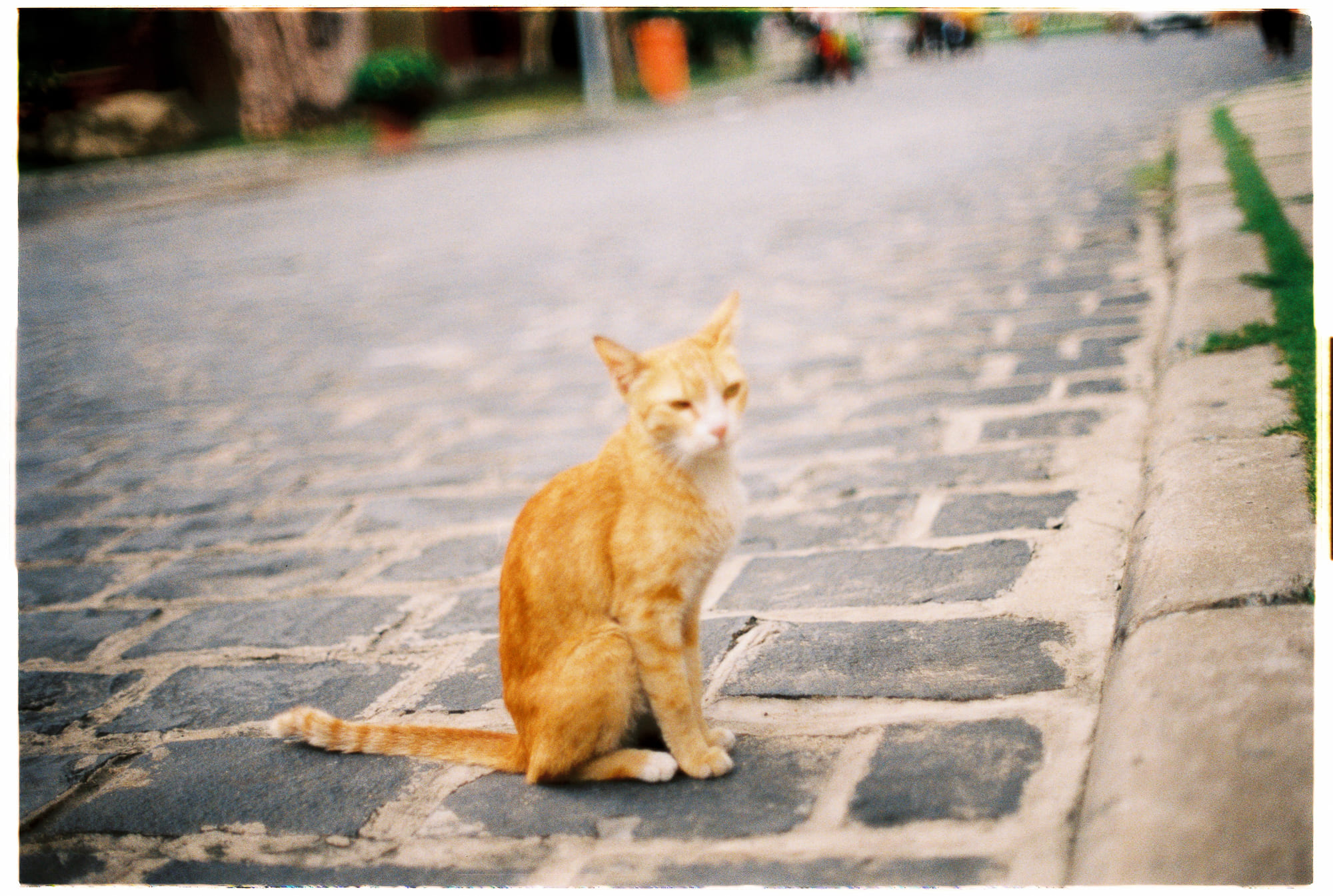 10 điều mới chúng ta học được về cái chết