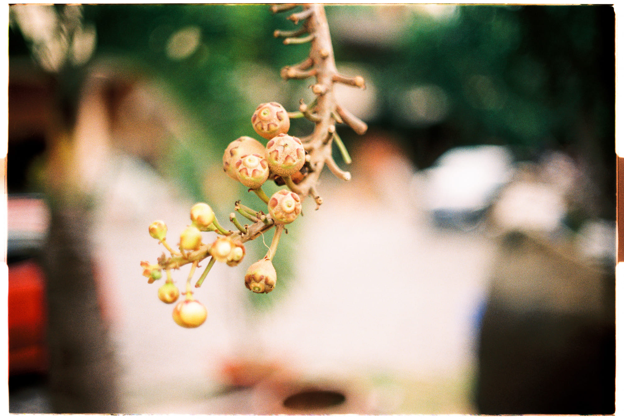 Đối phó căng thẳng và phục hồi sau kiệt sức