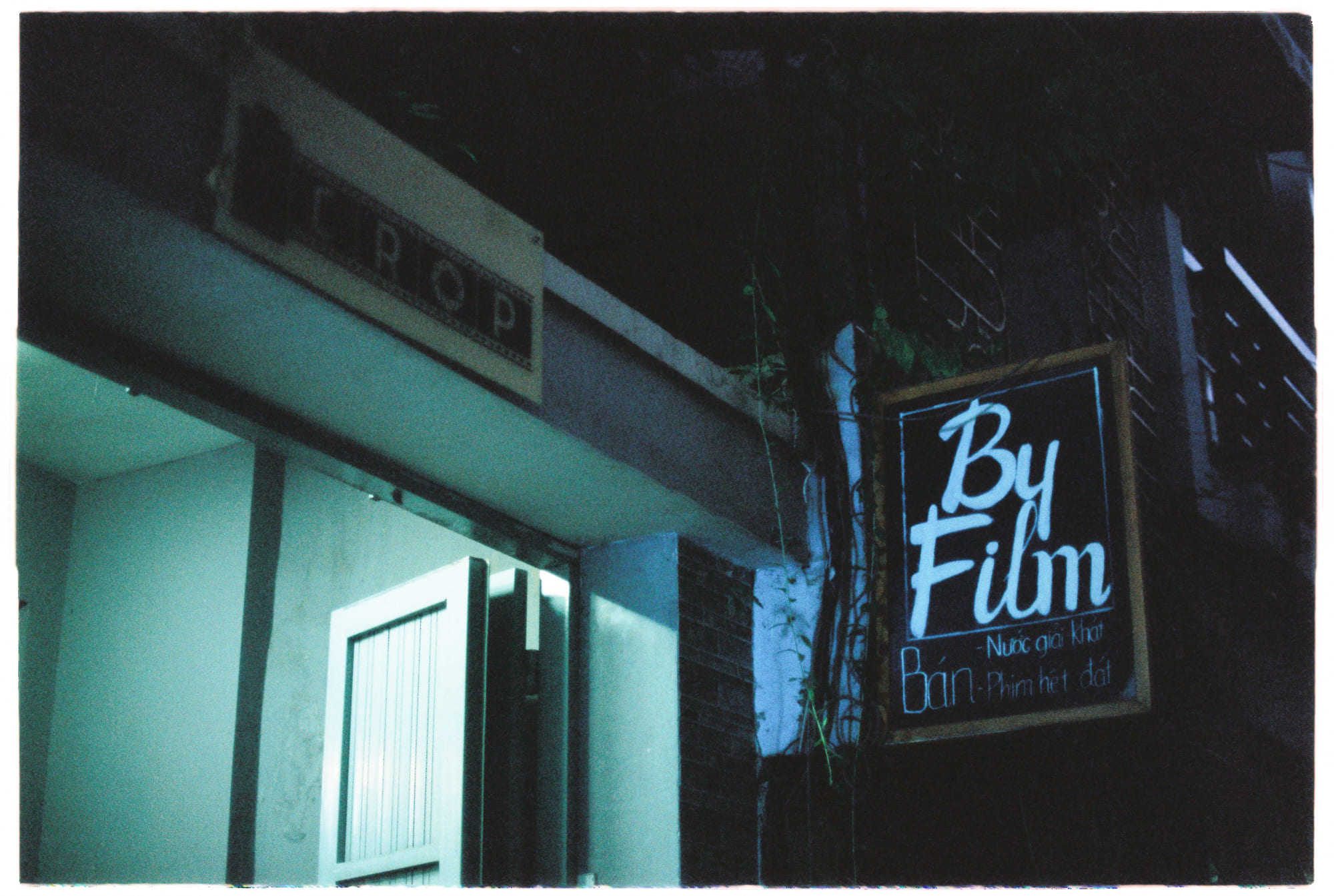 Con số 1/137 xuất hiện khắp nơi trong tự nhiên