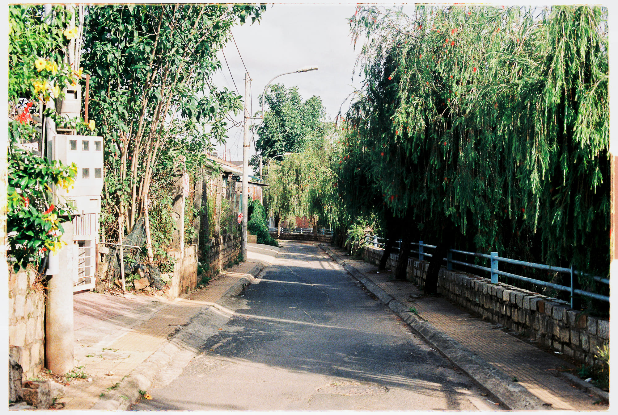 Trung tâm phát triển văn hóa đọc Nhà văn