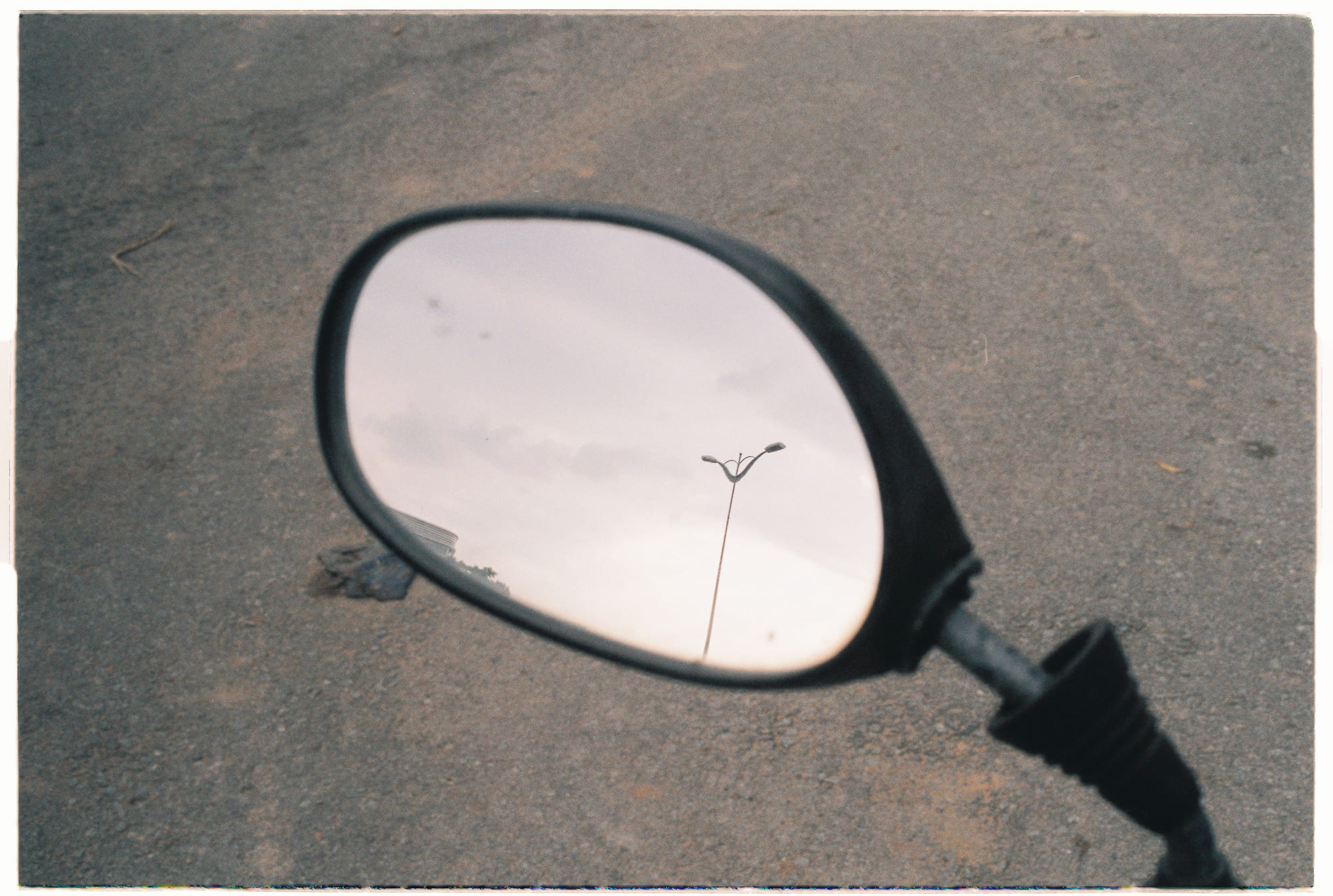 Danh sách theo thẻ bài khoa-hoc