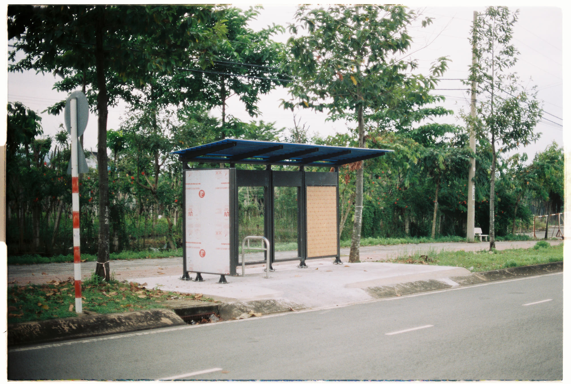 Thomas Aquinas dạy hy vọng trong tuyệt vọng