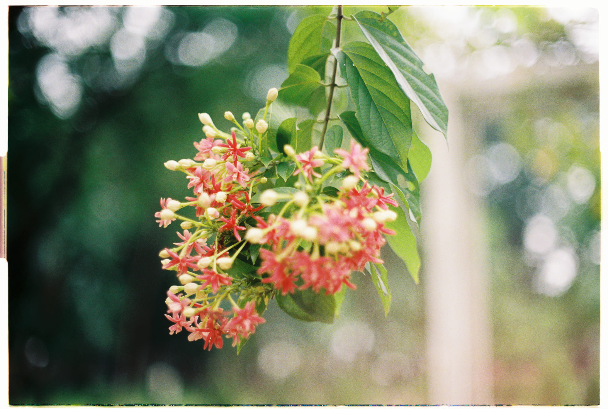 Những hệ quả liên thế hệ khi người già ngưng truyền tải tri thức 348 – viet lach, nghien cuu, nghien cuu van hoa, van hoa, y thuc con nguoi, nhan hoc, ky uc tap the, mat ket noi van hoa, cang thang van hoa, tai dinh cu van hoa, nguoi gia tram lang, nguoi gia tram cam, mat ket noi gia dinh, dut gay ket noi, di san song va su bien doi van hoa trong doi song duong dai.