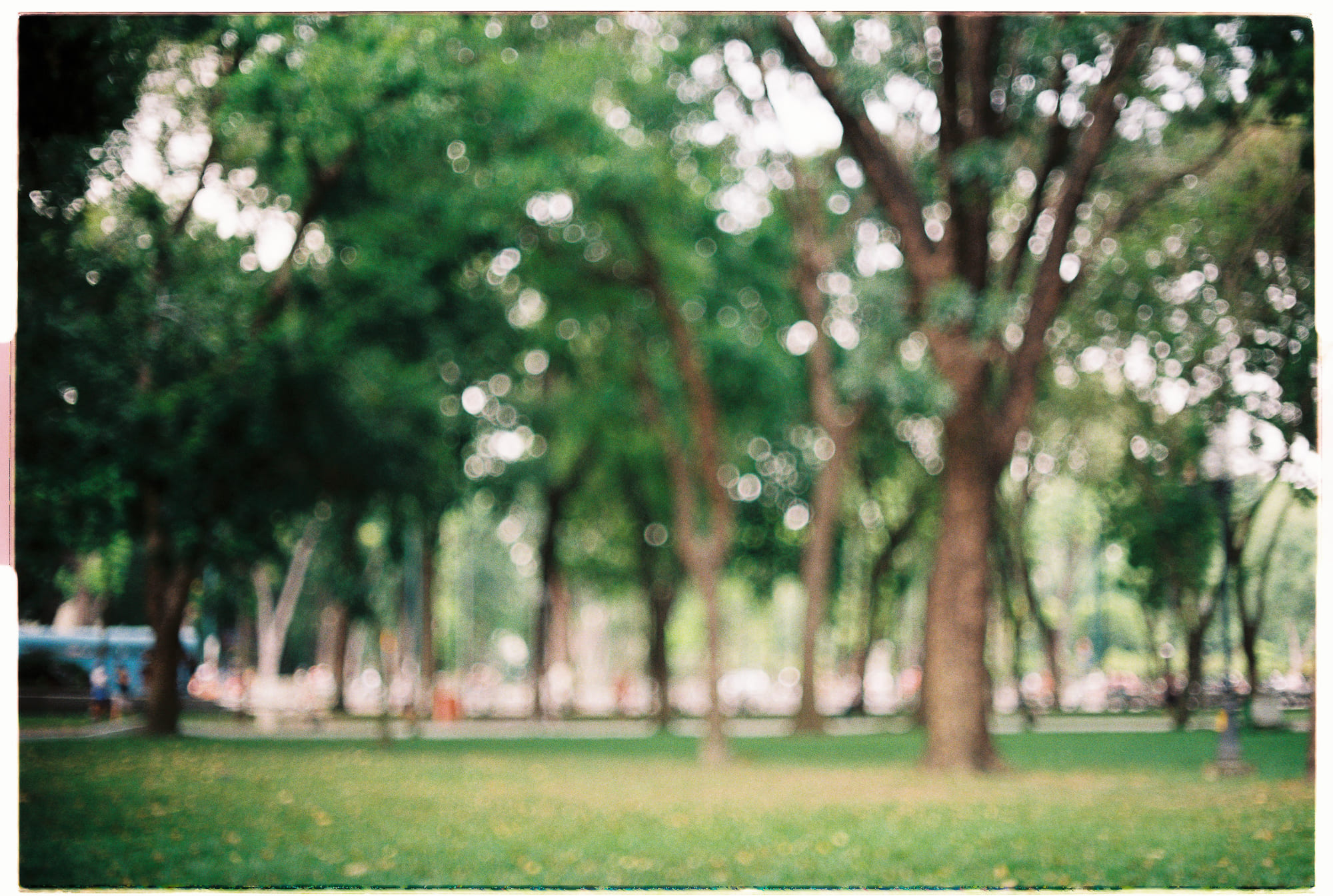 Tình yêu tôi trao là của em mãi mãi