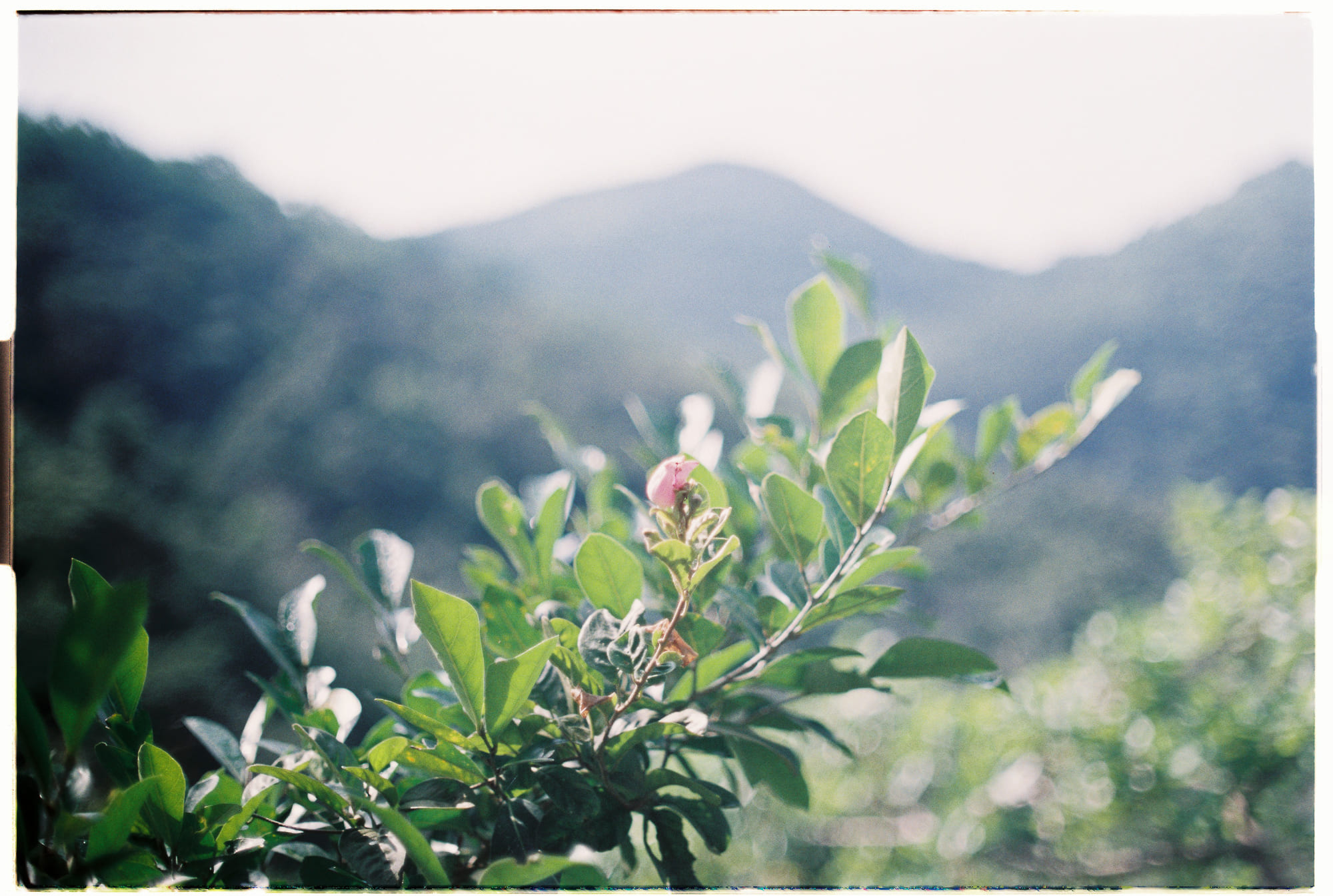 Trung tâm phát triển văn hóa đọc Nhà văn