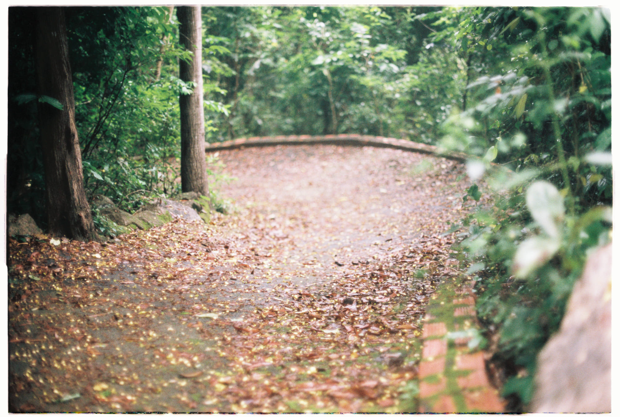 Lầm tưởng về đúng người sai thời điểm