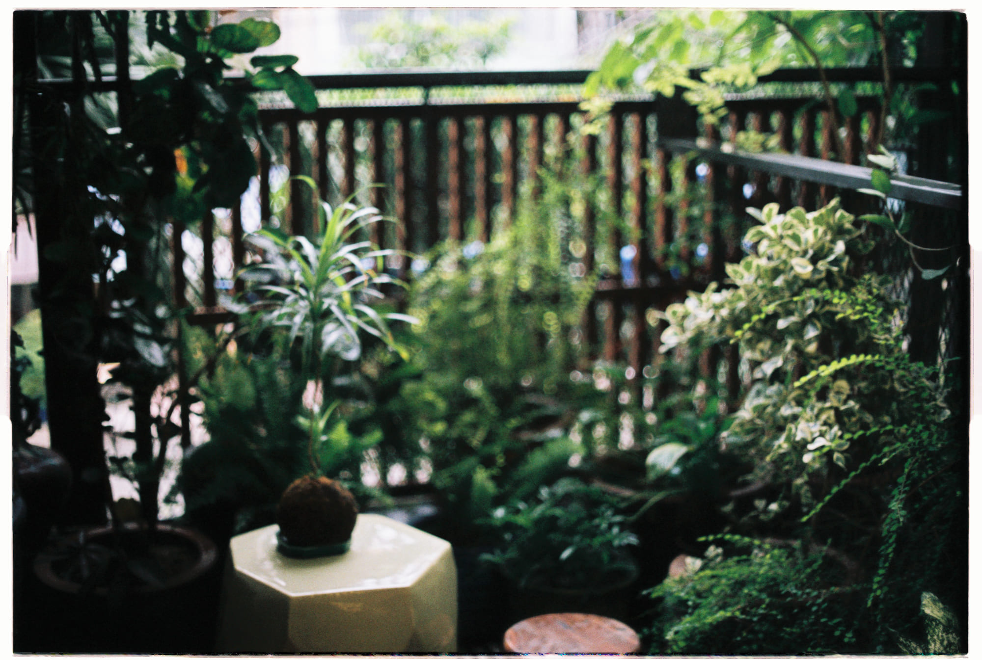 Thành công người nổi tiếng trên mạng là ảo