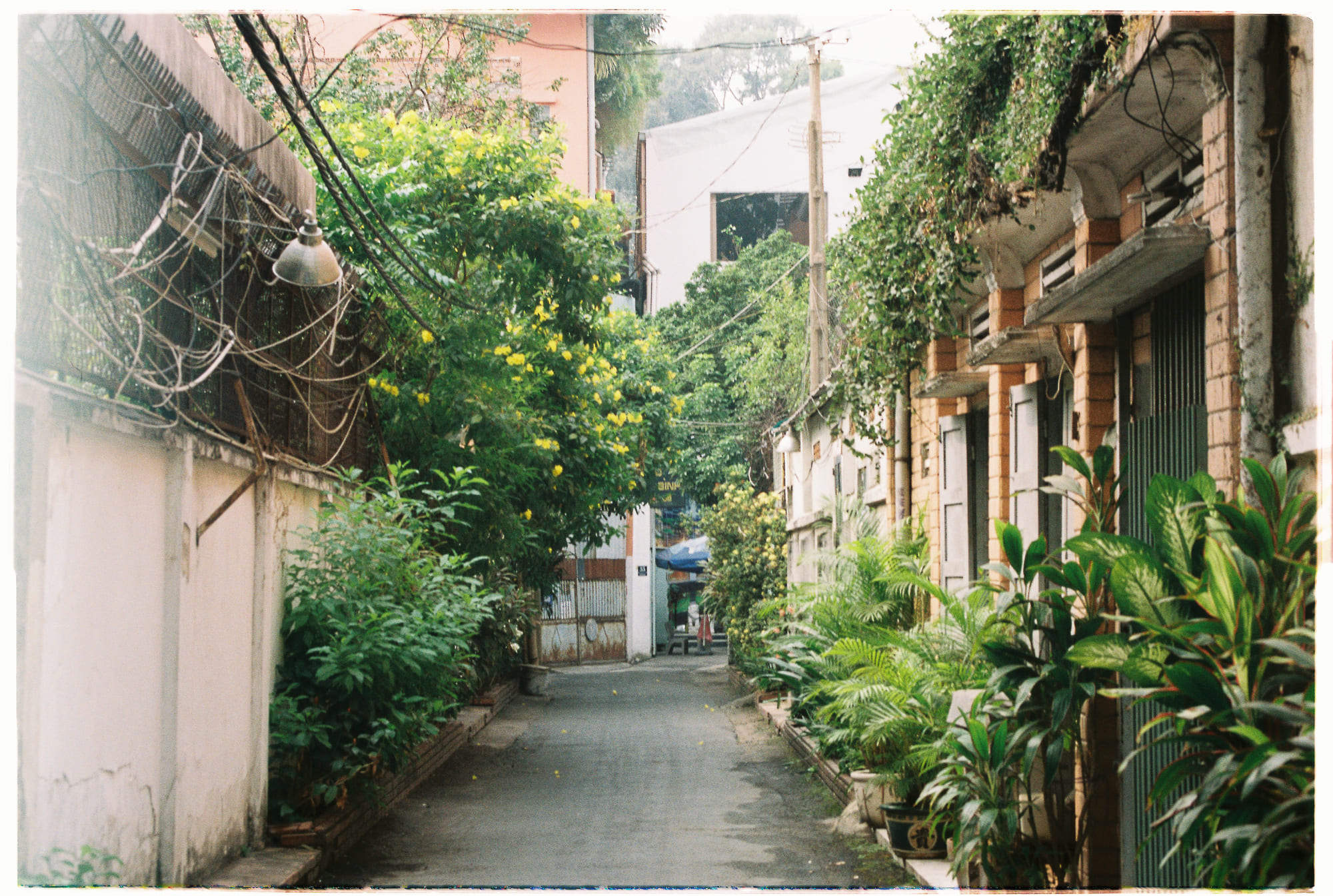 Cuộc sống như thế nào ở những nơi khác trong vũ trụ?