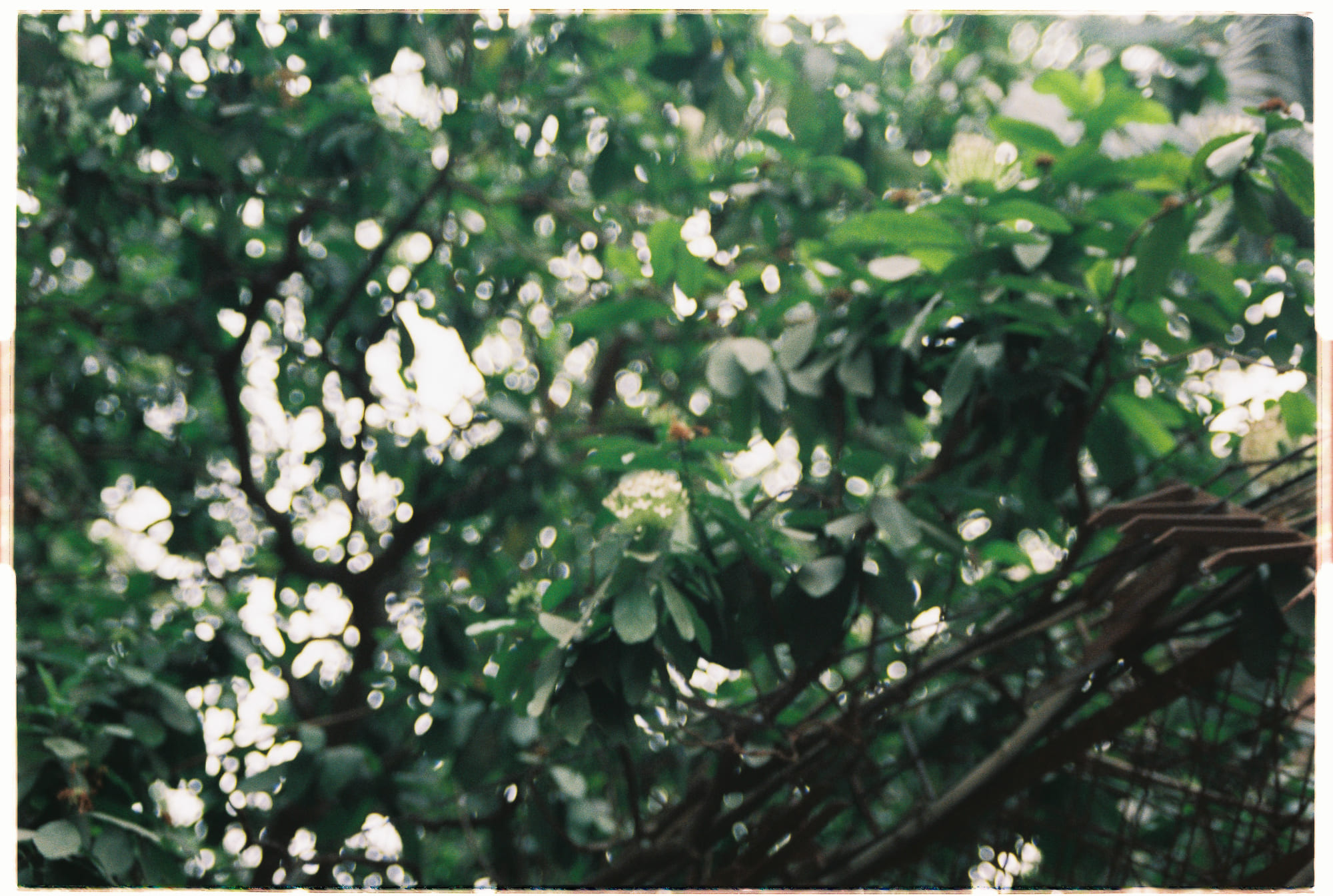 Khí hậu Trái Đất khi Mặt Trời giảm khối lượng