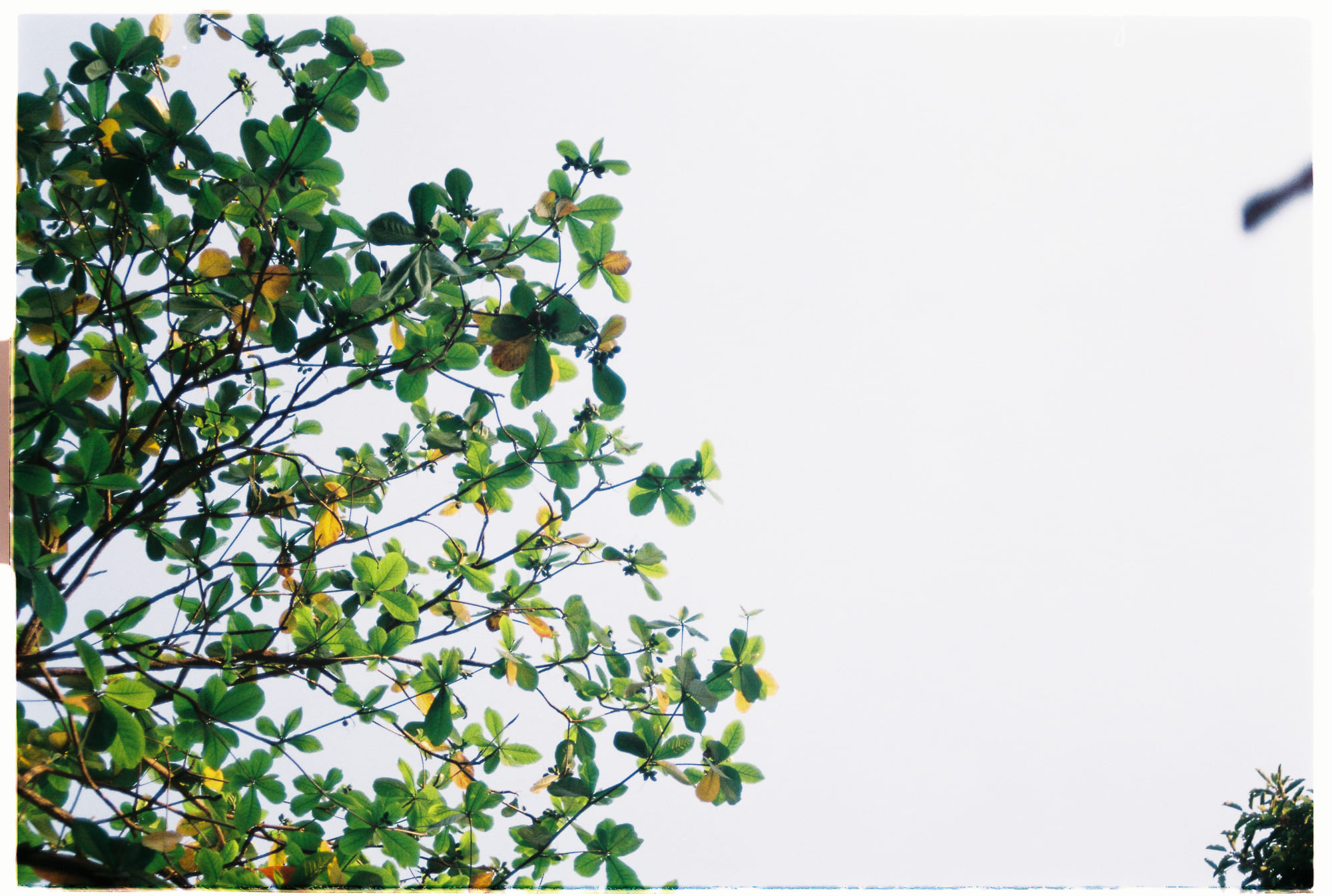 Trung tâm phát triển văn hóa đọc Nhà văn