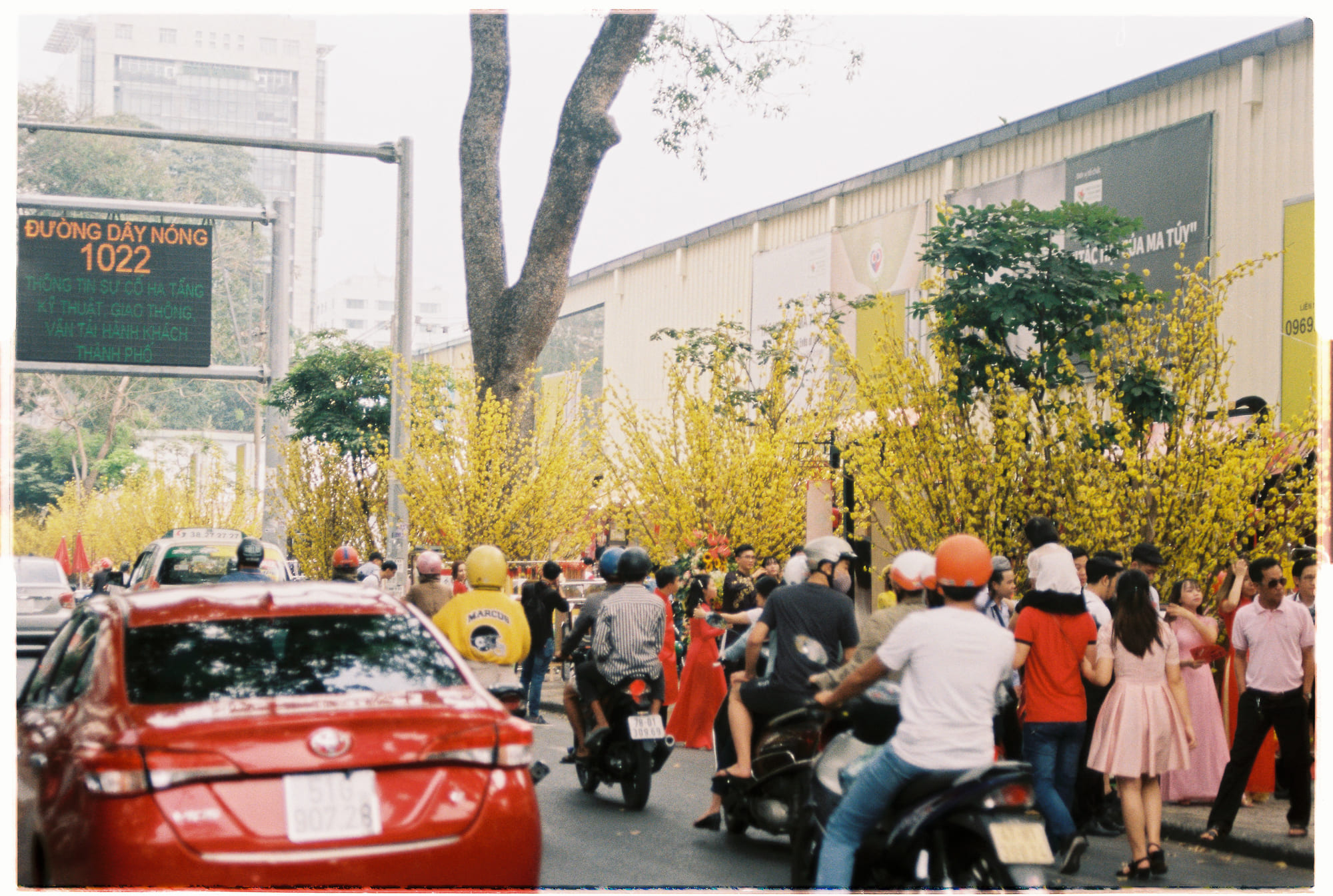 Hướng dẫn trải nghiệm, khám phá Huế của người bản địa