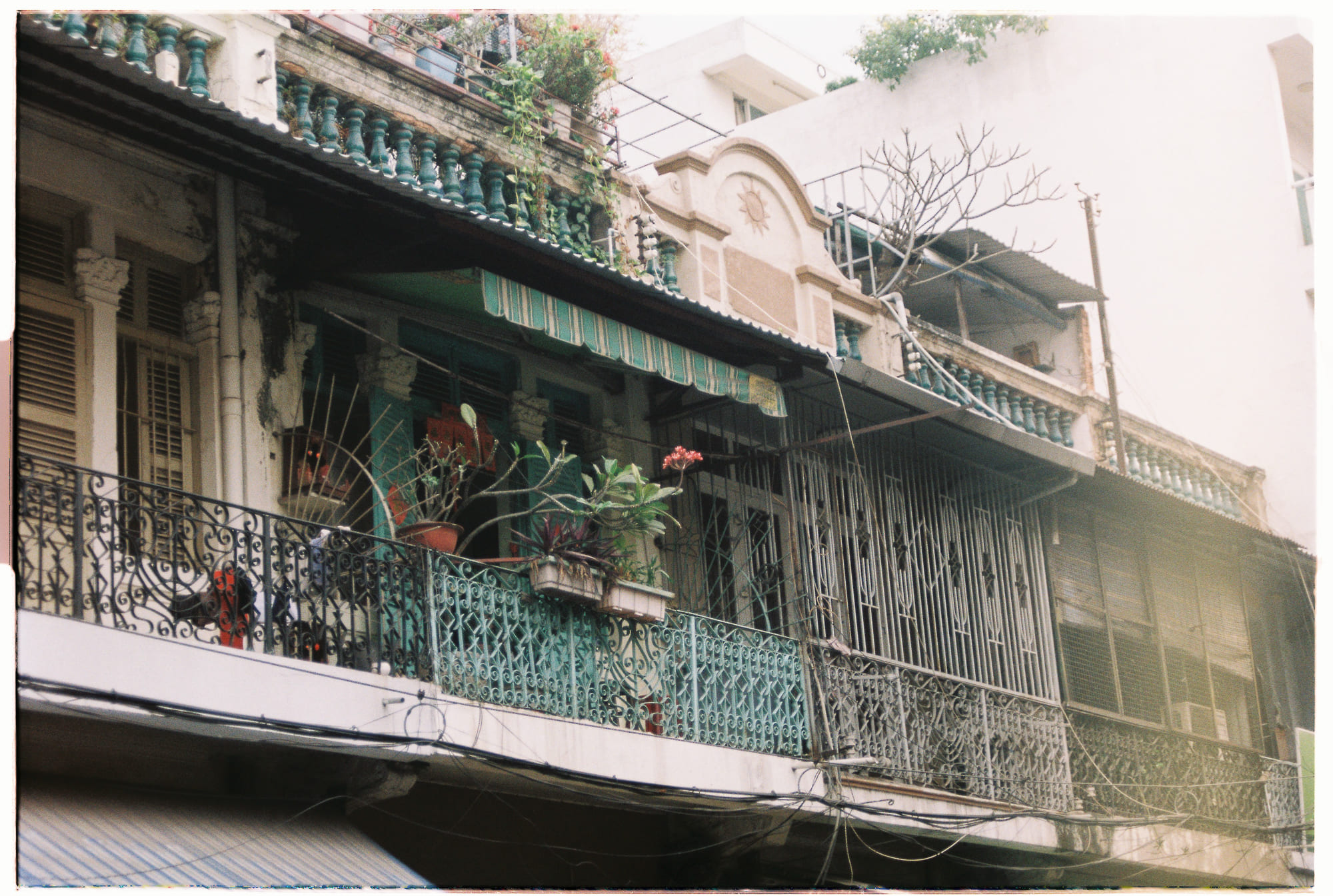 Người trưởng thành không kiểm soát tuyệt đối