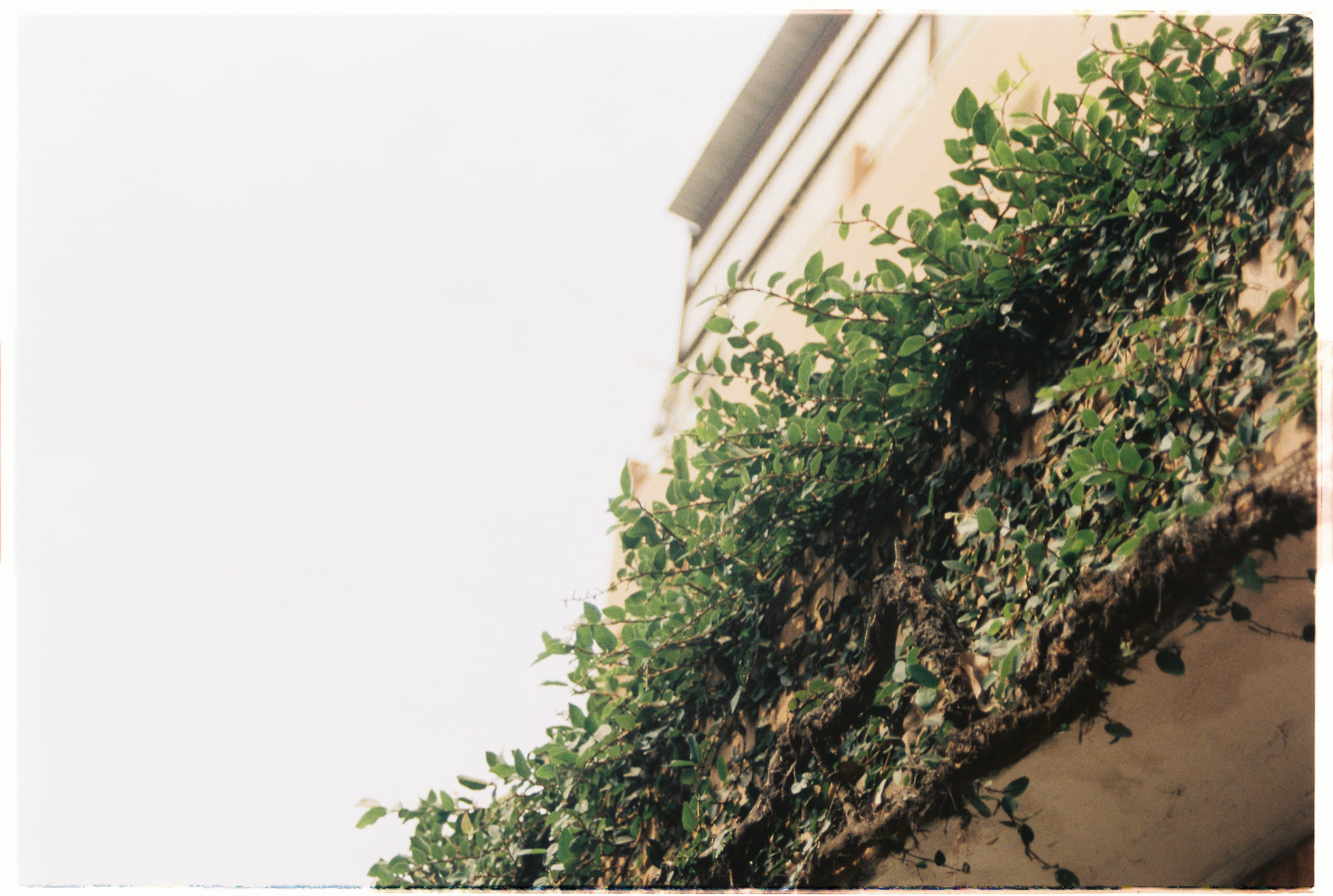 Khuôn mặt đẹp là phải xuất phát từ sự chân thành