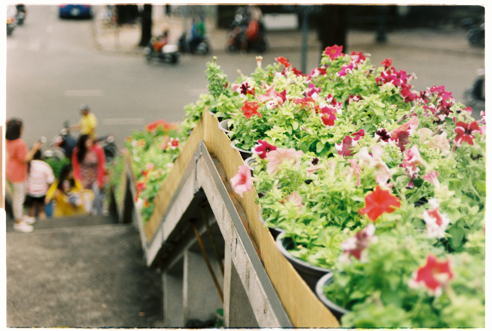 Tầm nhìn tiên tri của Lem về sự sống nhân tạo trong The Invincible Tầm nhìn tiên tri của Lem về sự sống nhân tạo trong The Invincible 913 – nghien cuu, van hoa, nhan hoc, van hoa my, jean louis cohen, cuoc song nhan tao, the invincible, n. katherine hayles, lem.