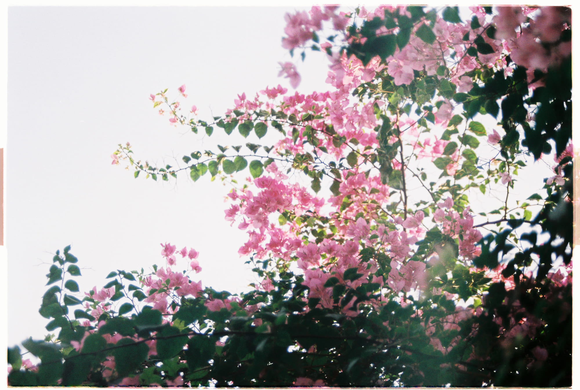 Làm thế nào để vượt qua cảm giác không thỏa đáng?