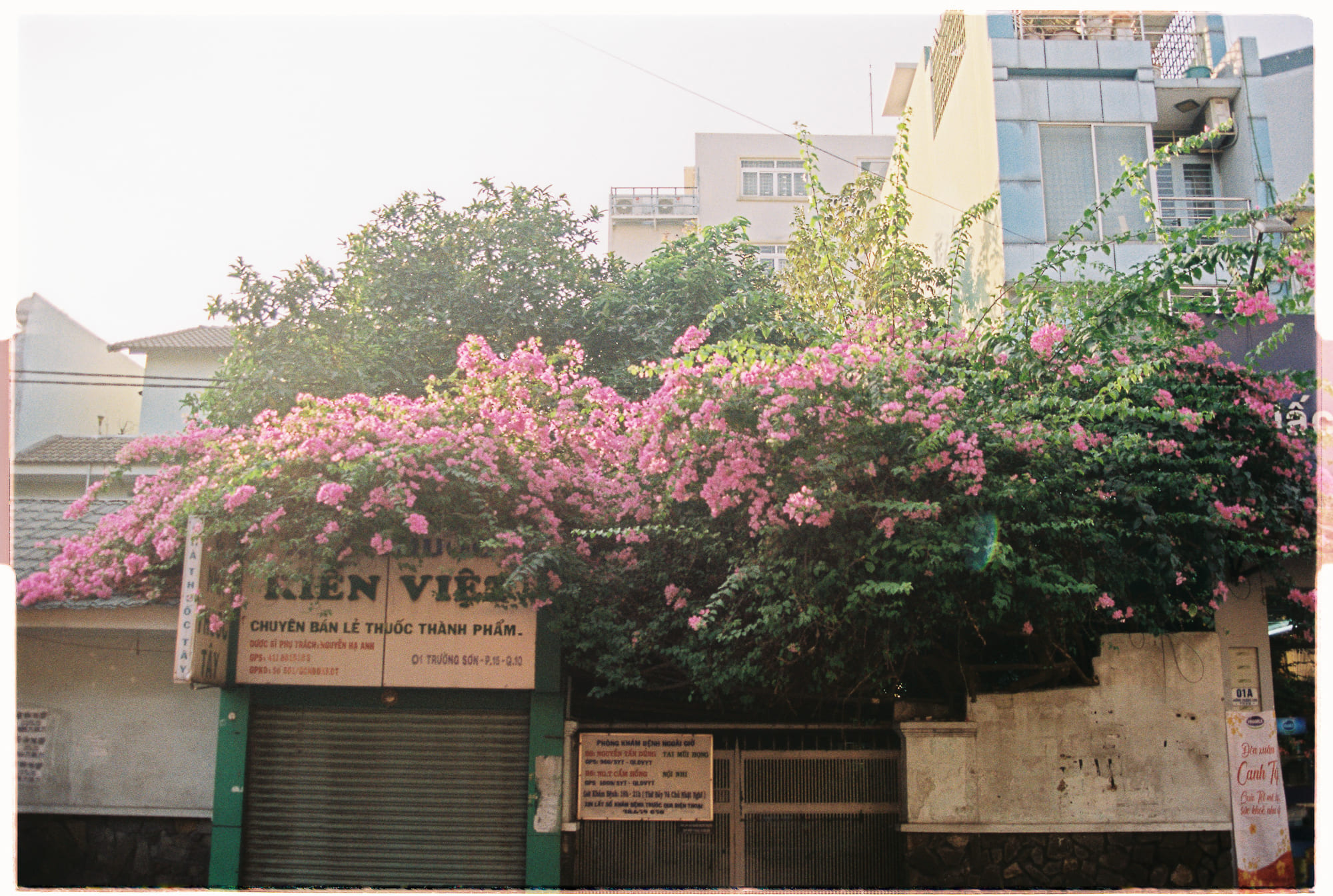 Khi bạn sống lâu hơn, bạn sẽ chết đau đớn hơn