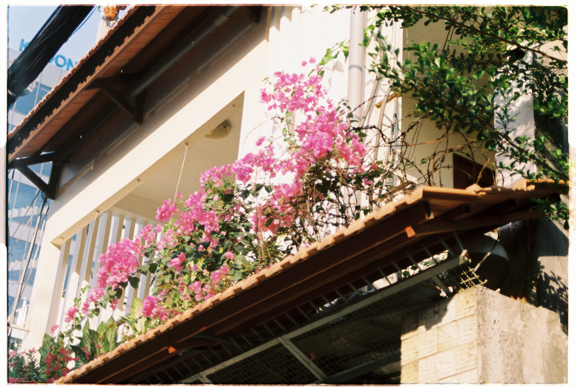 Metaverse là gì và vì sao nó đang bùng nổ?