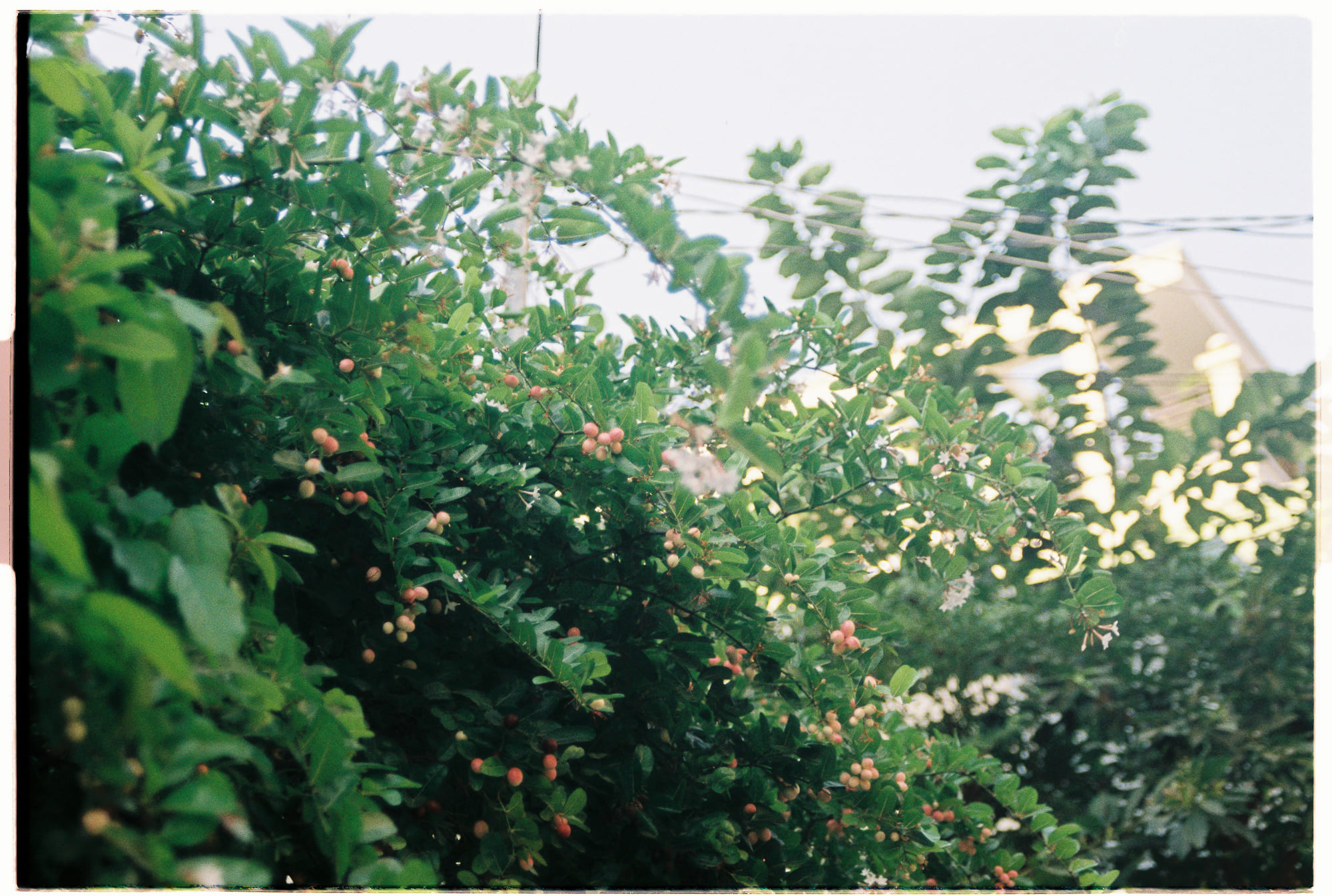 Trung tâm phát triển văn hóa đọc Nhà văn