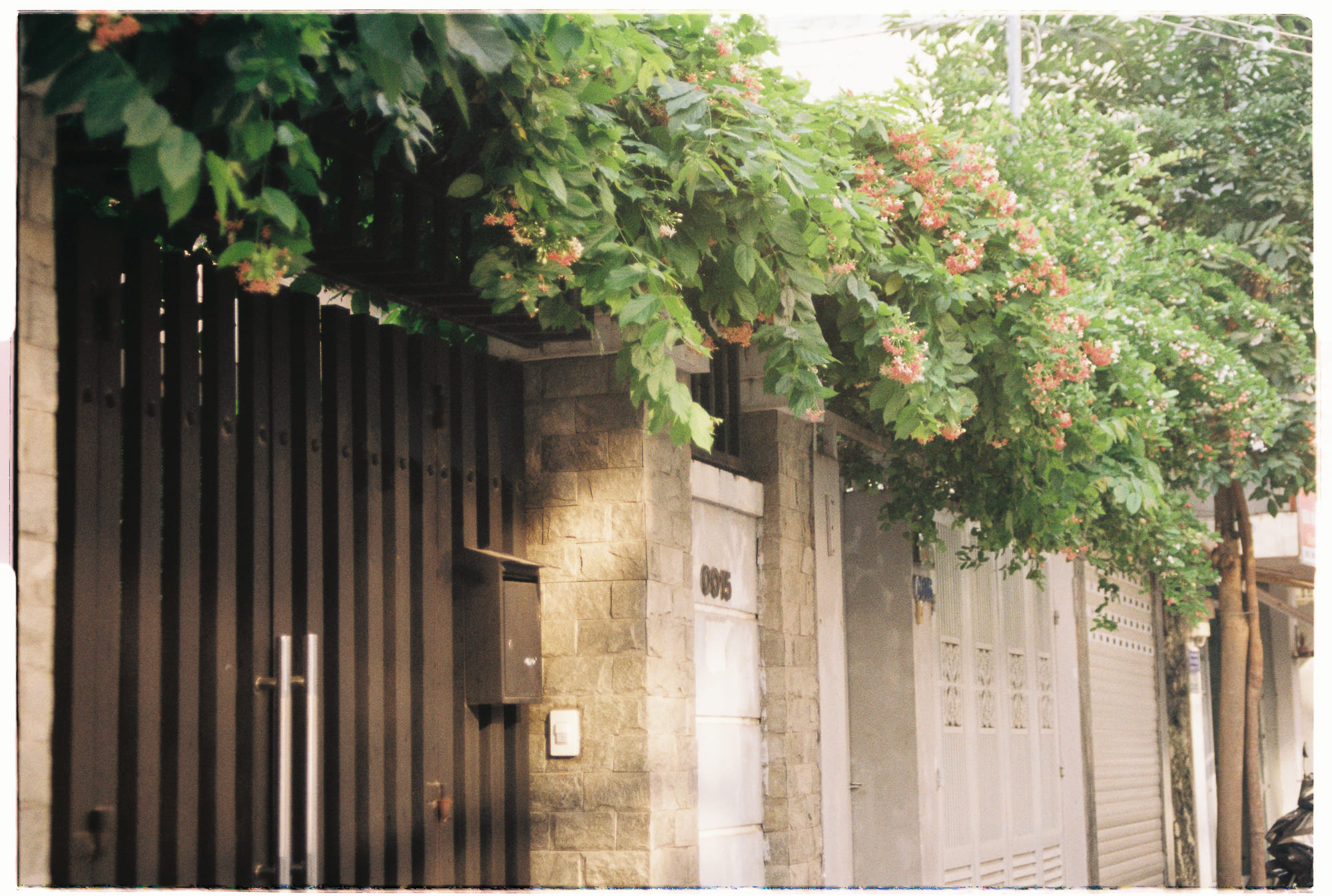 Danh sách theo thẻ bài phat-giao, trang 2