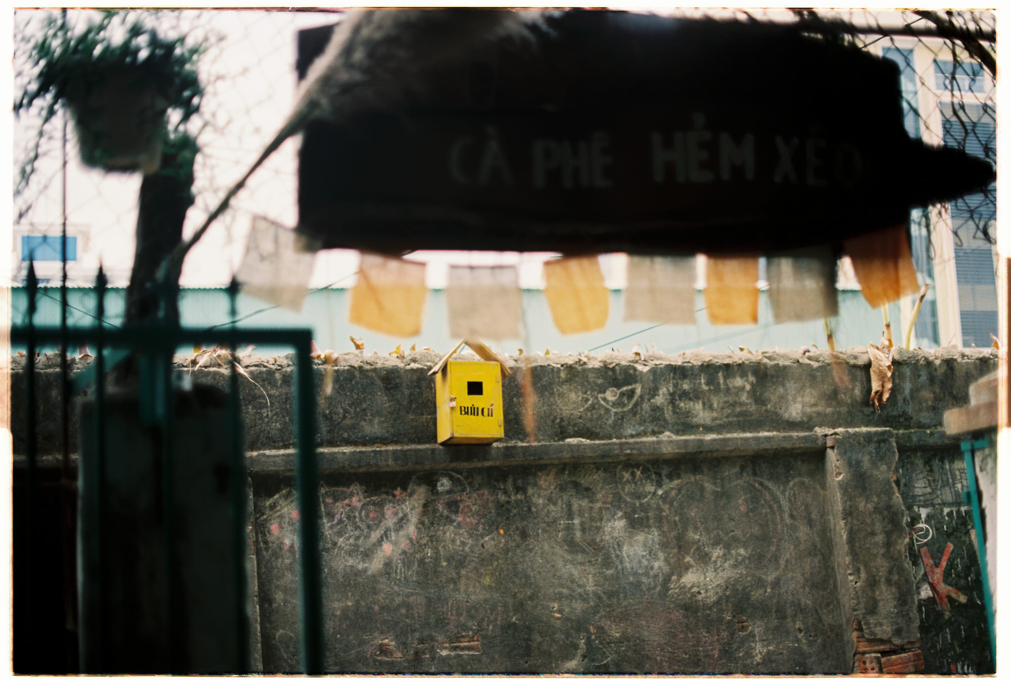 Cây phát sinh loài dựa trên hình thái sai lầm