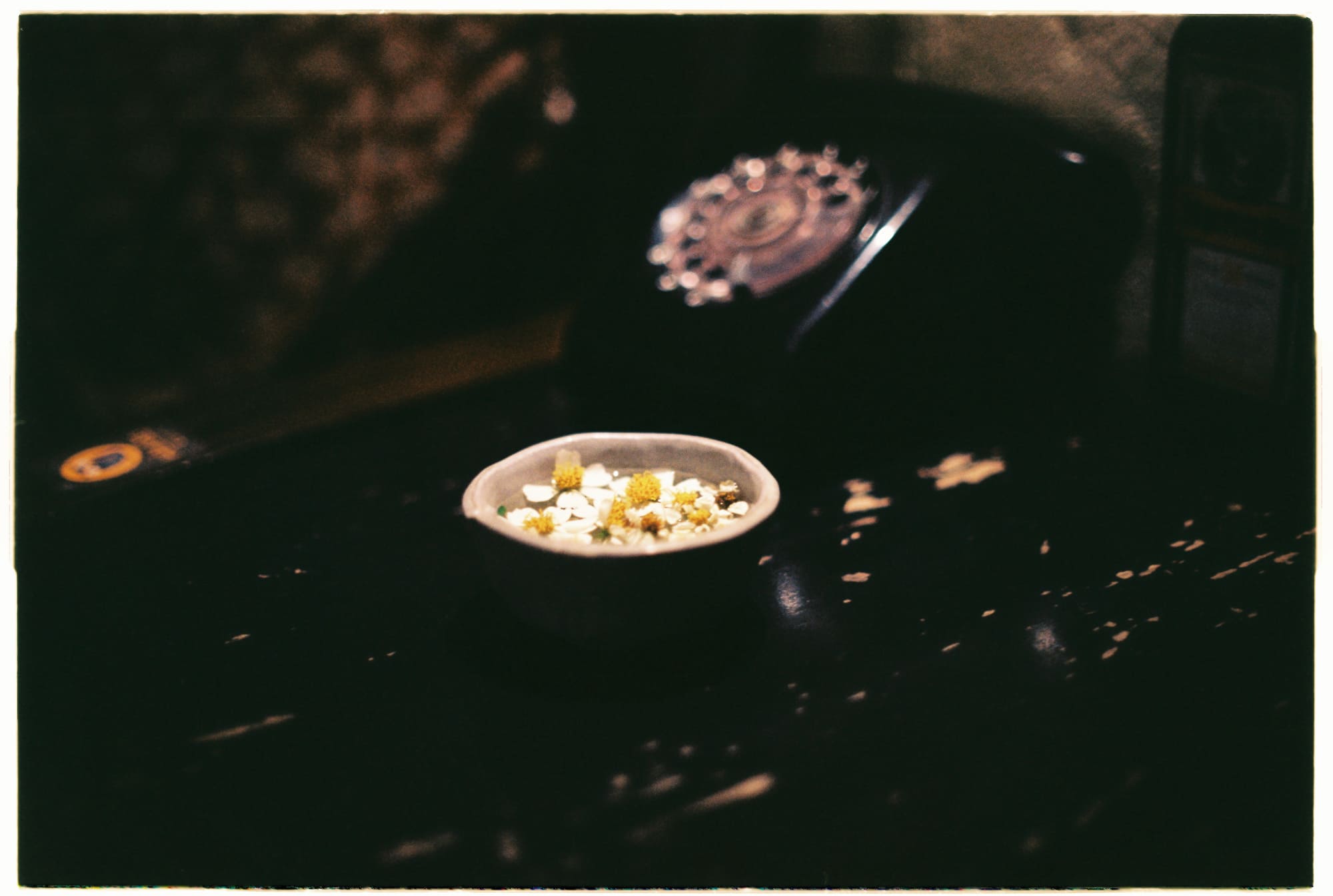 Tìm khủng long trên Sao Kim và lời cảnh báo