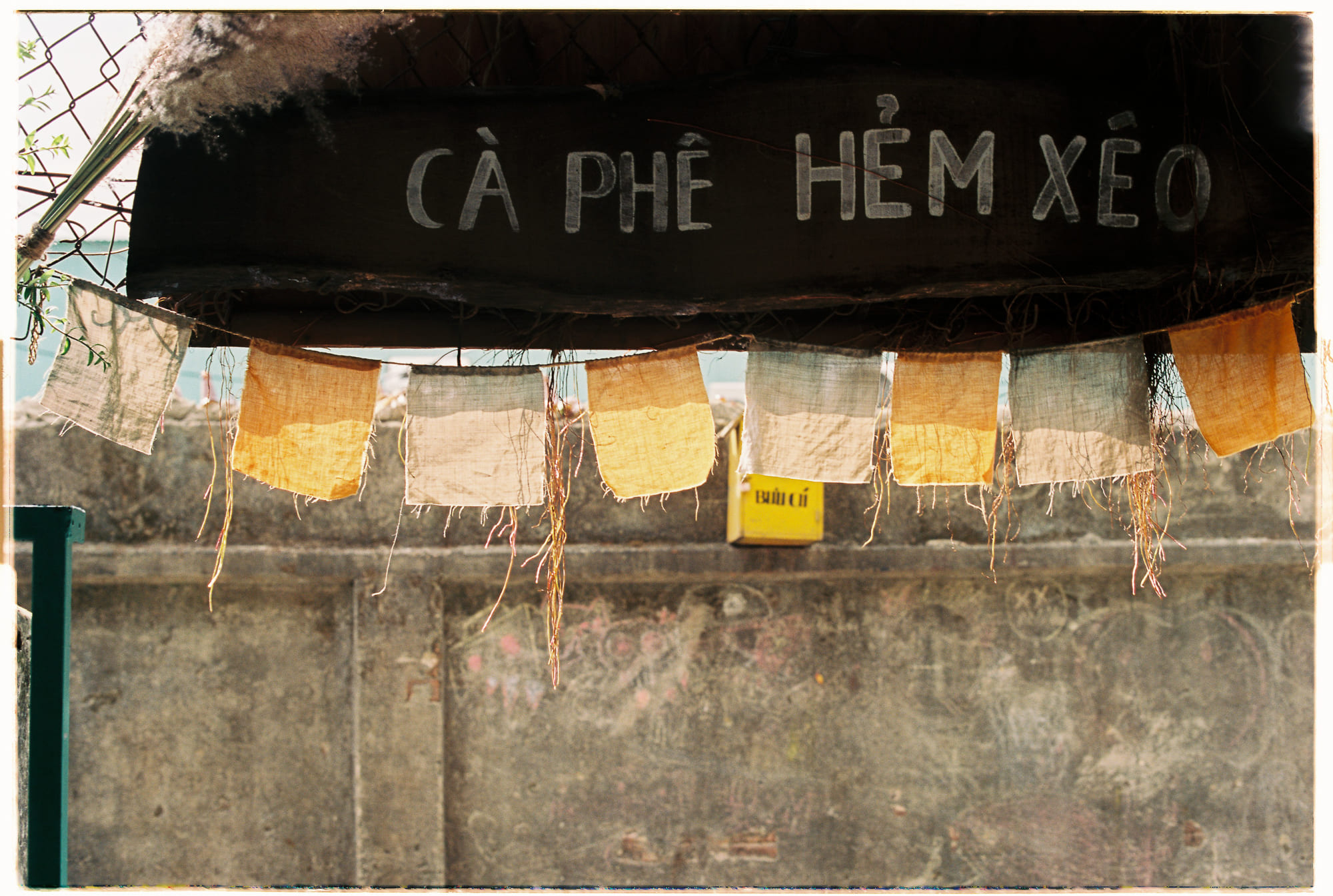 Giáo dục khai phóng cứu nền giáo dục đại học