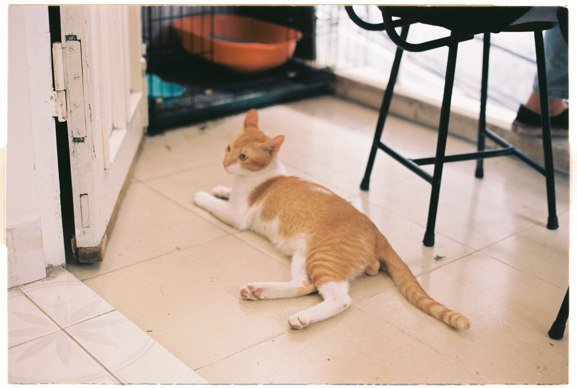 Trung tâm phát triển văn hóa đọc Nhà văn