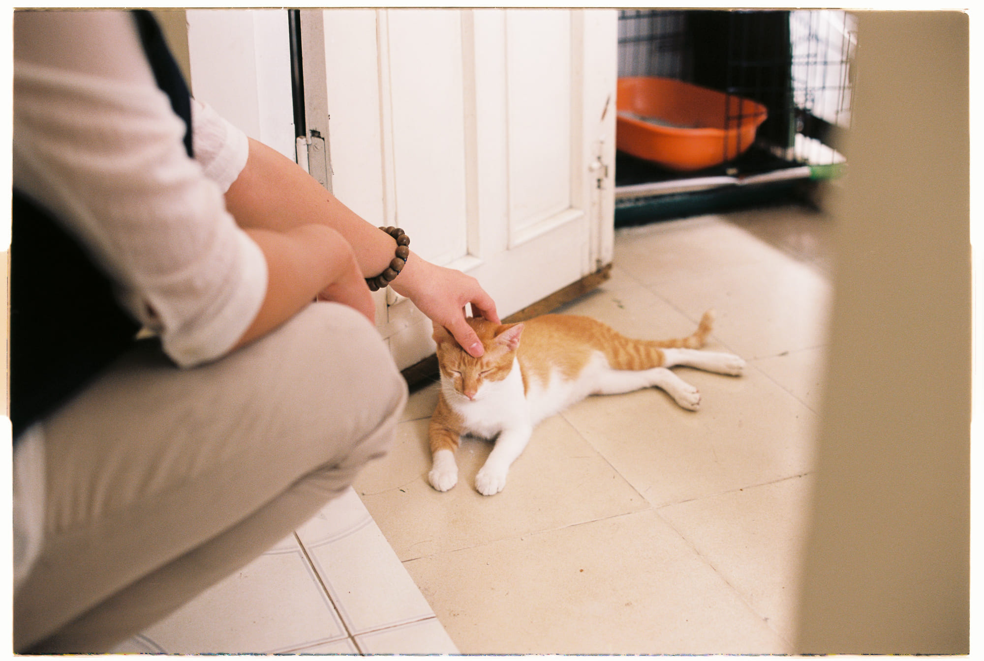 Tứ niệm xứ (Satipaṭṭhāna – 四念處) là gì? Tứ niệm xứ (Satipaṭṭhāna – 四念處) là gì? 098 – ton giao, phat giao, tu niem xu, quan than, quan tho, quan tam, quan phap, than, tho, tam, phap, thuc hanh ton giao, kien thuc phat giao, kien thuc ton giao.