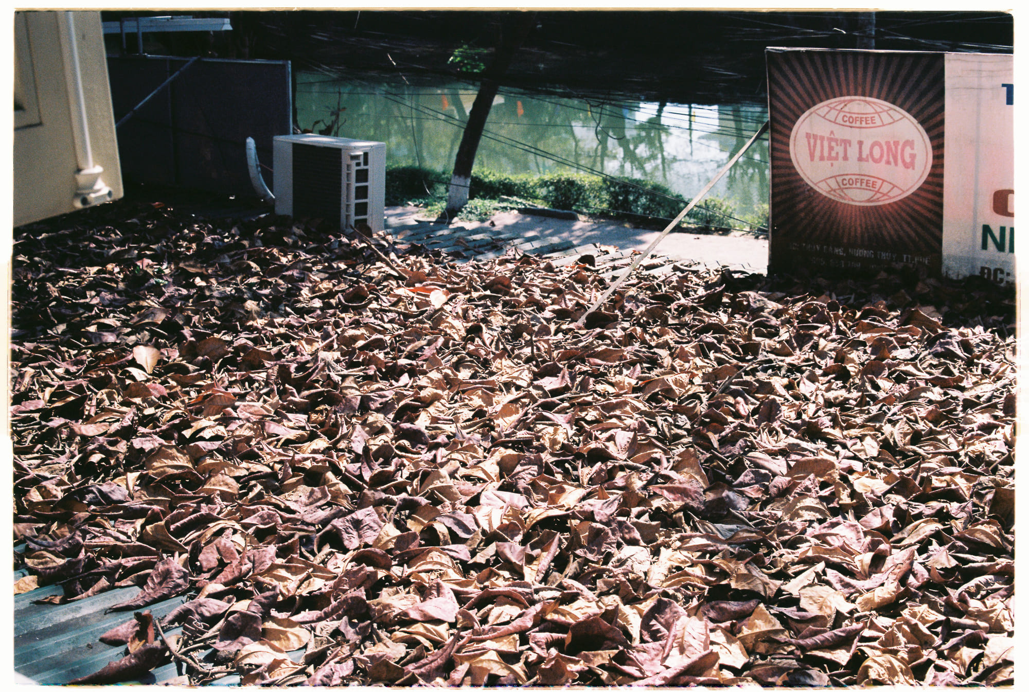 Trung tâm phát triển văn hóa đọc Nhà văn