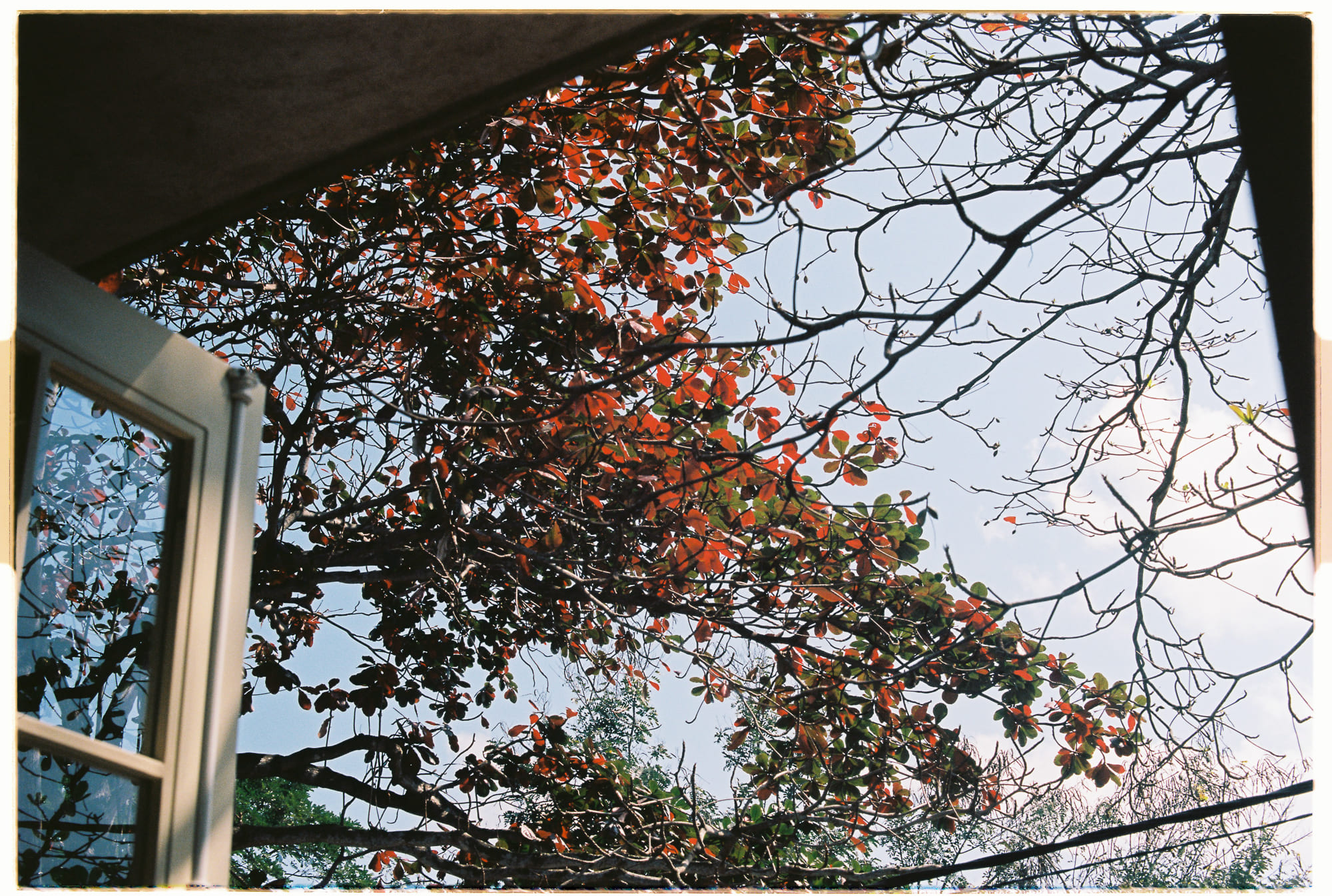 Phản đối vật chất tối trong Cụm Đạn sụp đổ