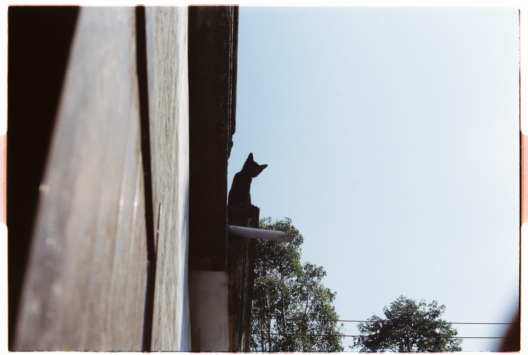 Cách thắng gameshow bằng lý thuyết trò chơi