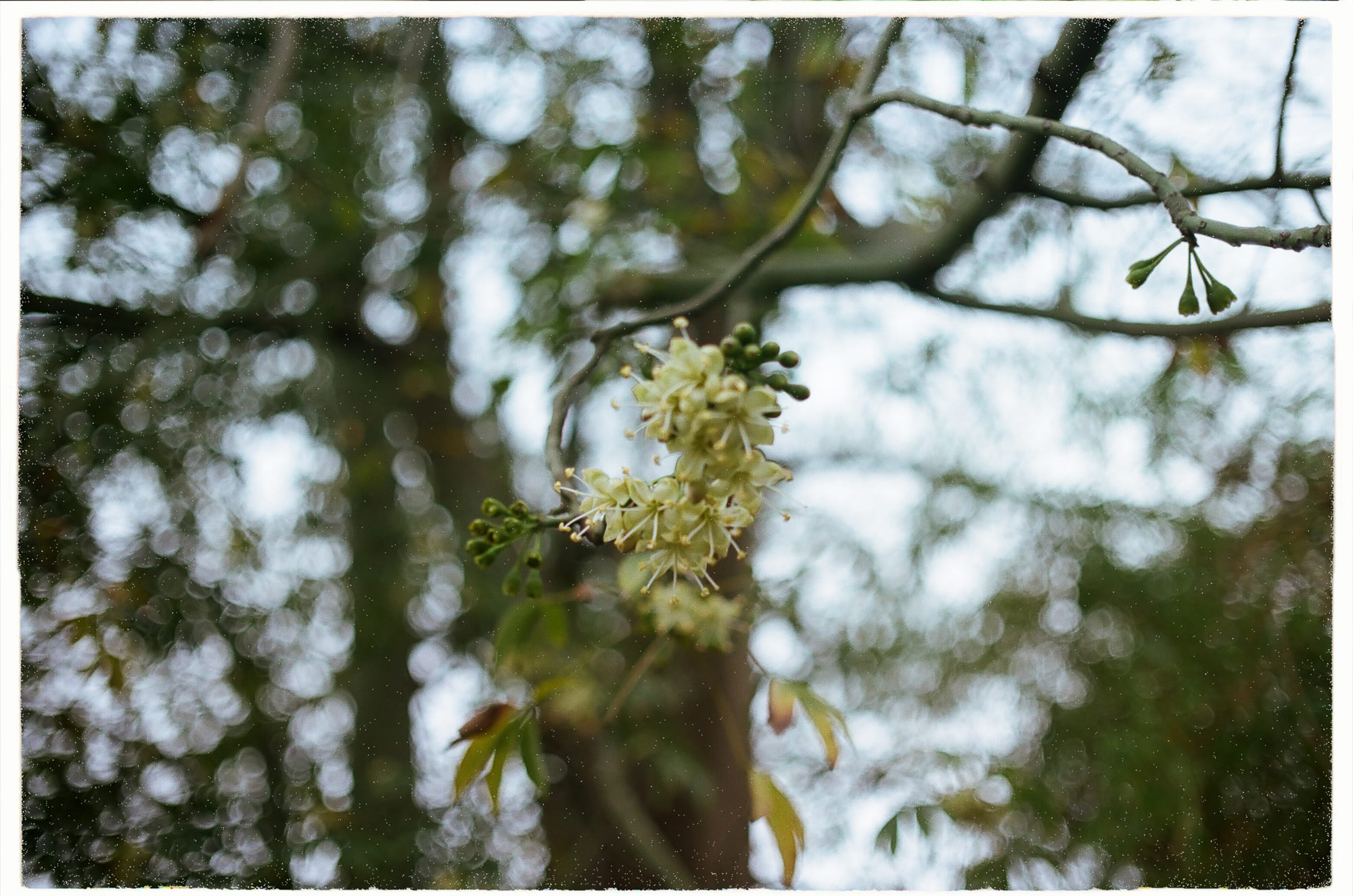 7 kiệt tác văn chương khó để đọc xong 7 kiệt tác văn chương khó để đọc xong 119 – tam ly hoc, gioi thieu sach, kiet tac van chuong, cuon sach chua doc, lam the nao de noi ve cuon sach chua doc, one hundred years of solitude, james joyce, catch 22, a brief history of time, les misérables, murasaki shikibu, ulysses, victor hugo, joseph heller, capital in the twenty first century, the tale of genji, gabriel garcía márquez, thomas piketty, stephen hawking, kiet tac kho doc.