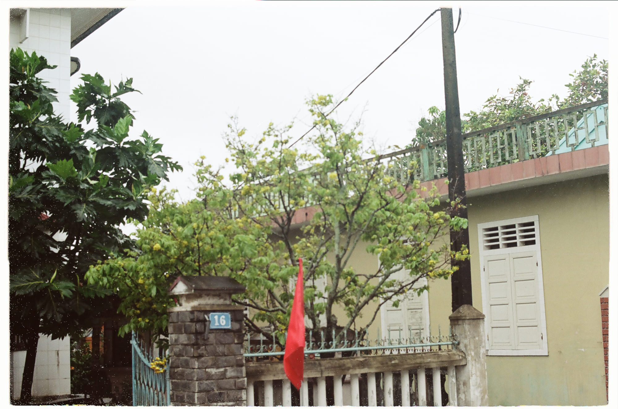 Những giải Nobel tồi tệ nhất trong lịch sử Những giải Nobel tồi tệ nhất trong lịch sử 130 – lich su, hoa binh, nobel, nobel hoa binh, nobel tham hoa, nobel y sinh, nobel van hoc, nobel vat ly, johannes fibiger, bob dylan, james watson, francis crick, maurice wilkins, enrico fermi, antónio egas moniz, nobel toi te.