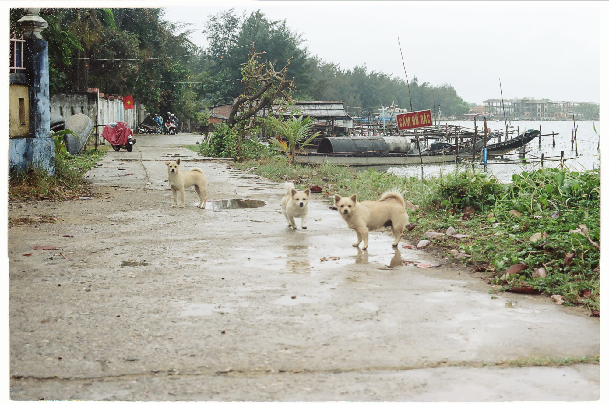 Những quan niệm sai lầm khi ăn chay phổ biến