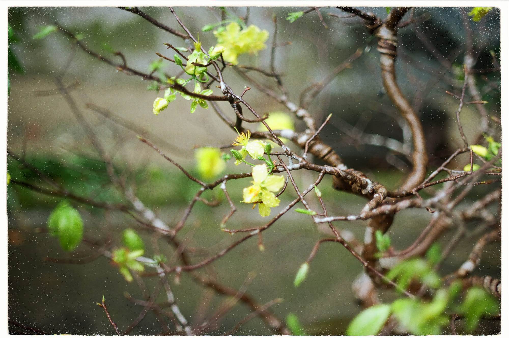 Tại sao Nga tự xem mình là hơn cả một quốc gia?