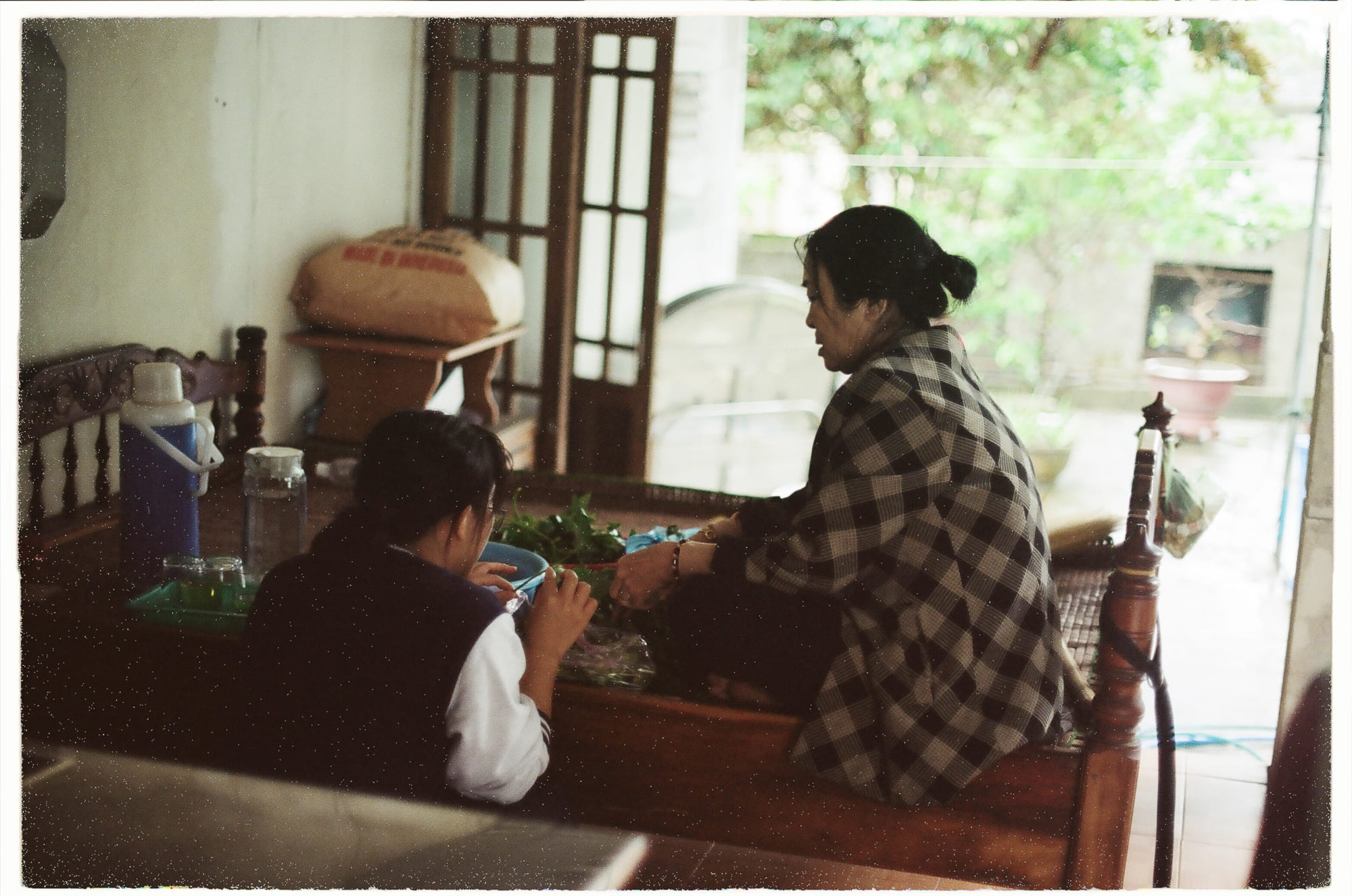 Lý thuyết gió của Darwin được chứng minh 436 – khoa hoc, charles darwin, ly thuyet gio, tien hoa, thuyet tien hoa.