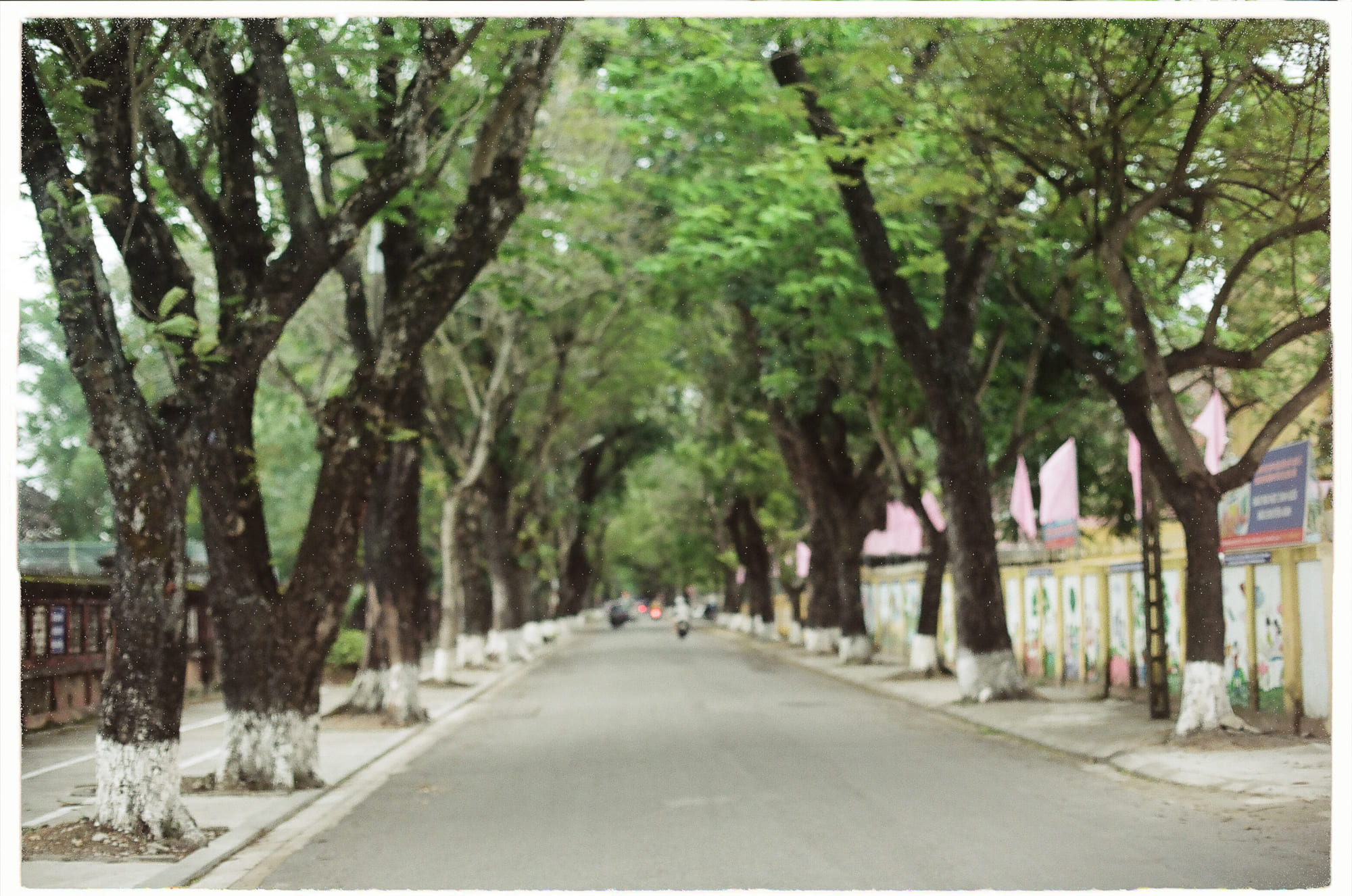 Phương trình Drake chứng minh loài người không cô đơn