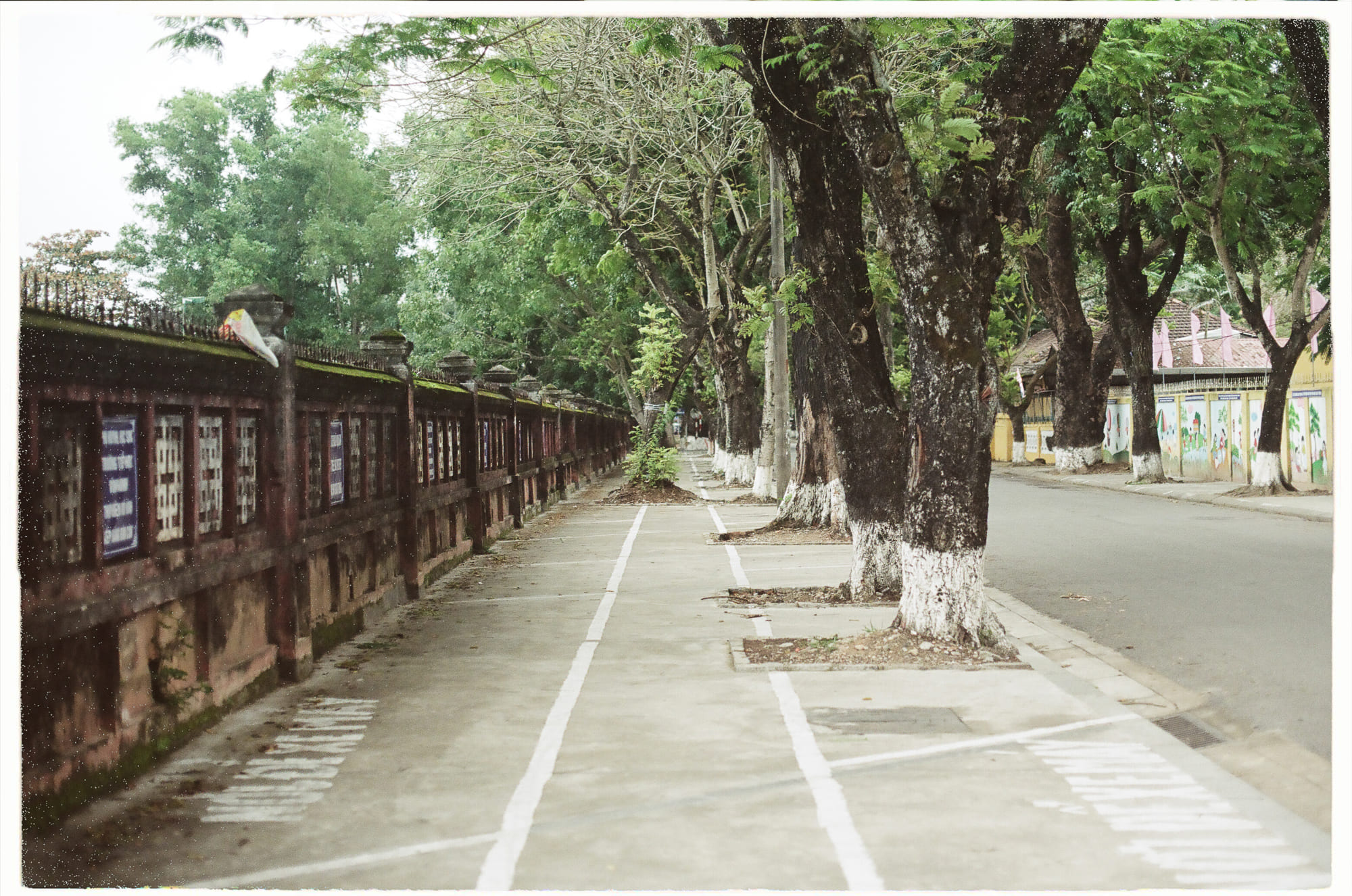 Có bao nhiêu động vật bị giết mỗi ngày?