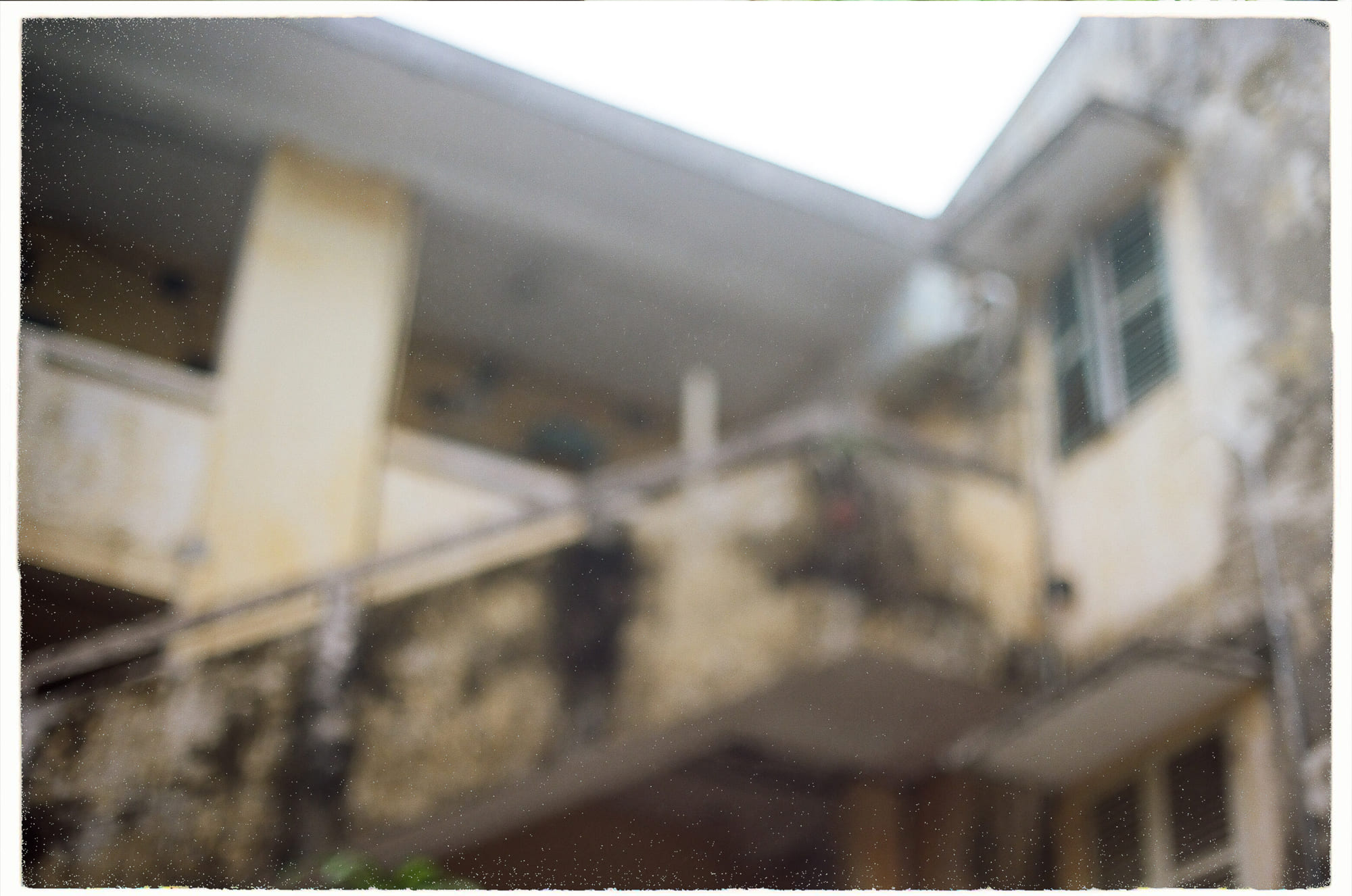 Bướm đêm ăn thịt chứng minh nguyên lý tiến hóa