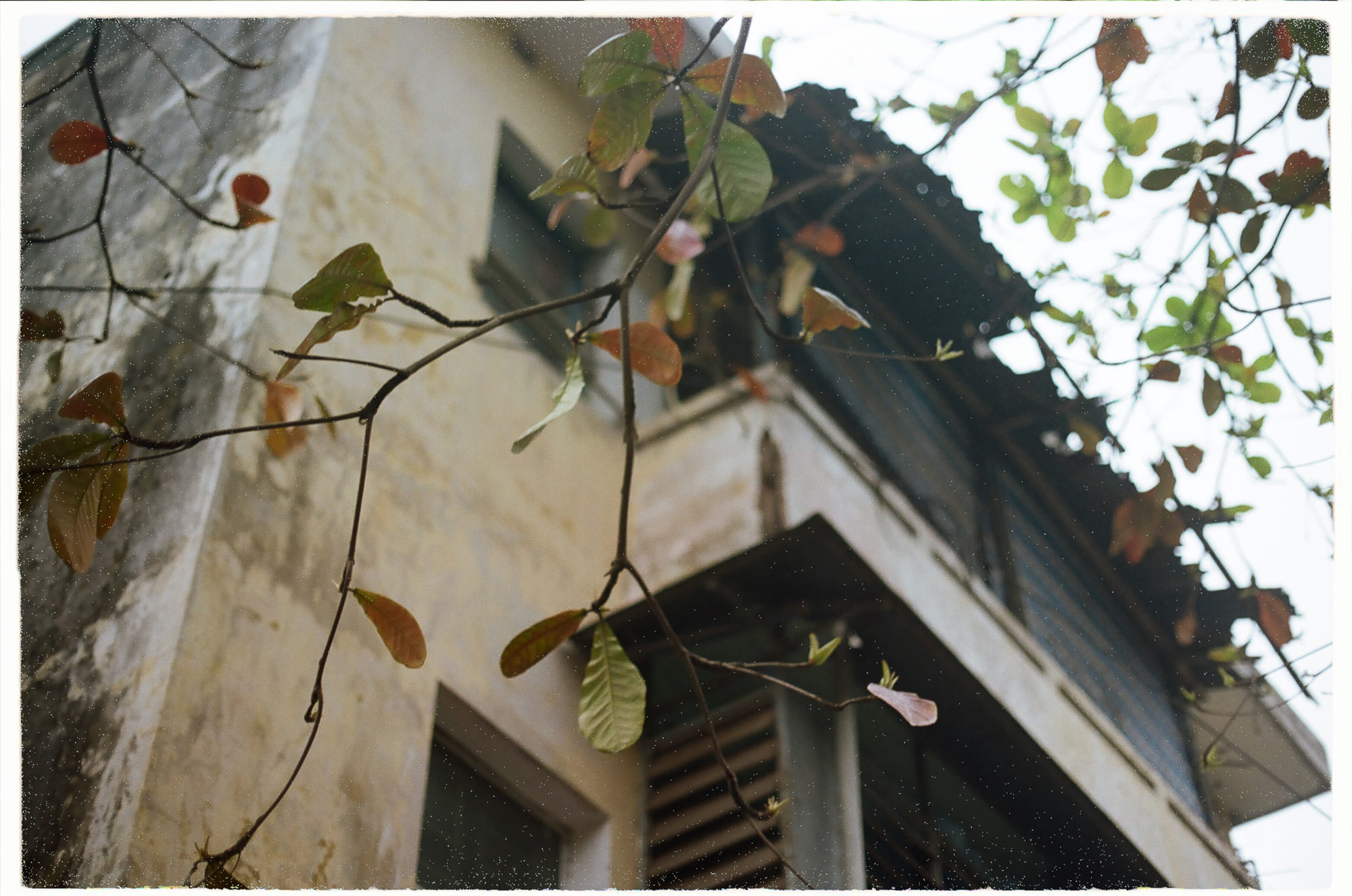 Trung tâm phát triển văn hóa đọc Nhà văn