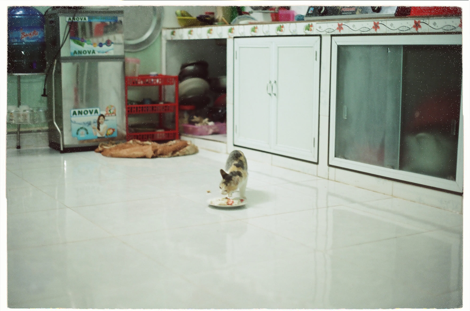 Tam bảo (Triratna – 三寶) là gì?