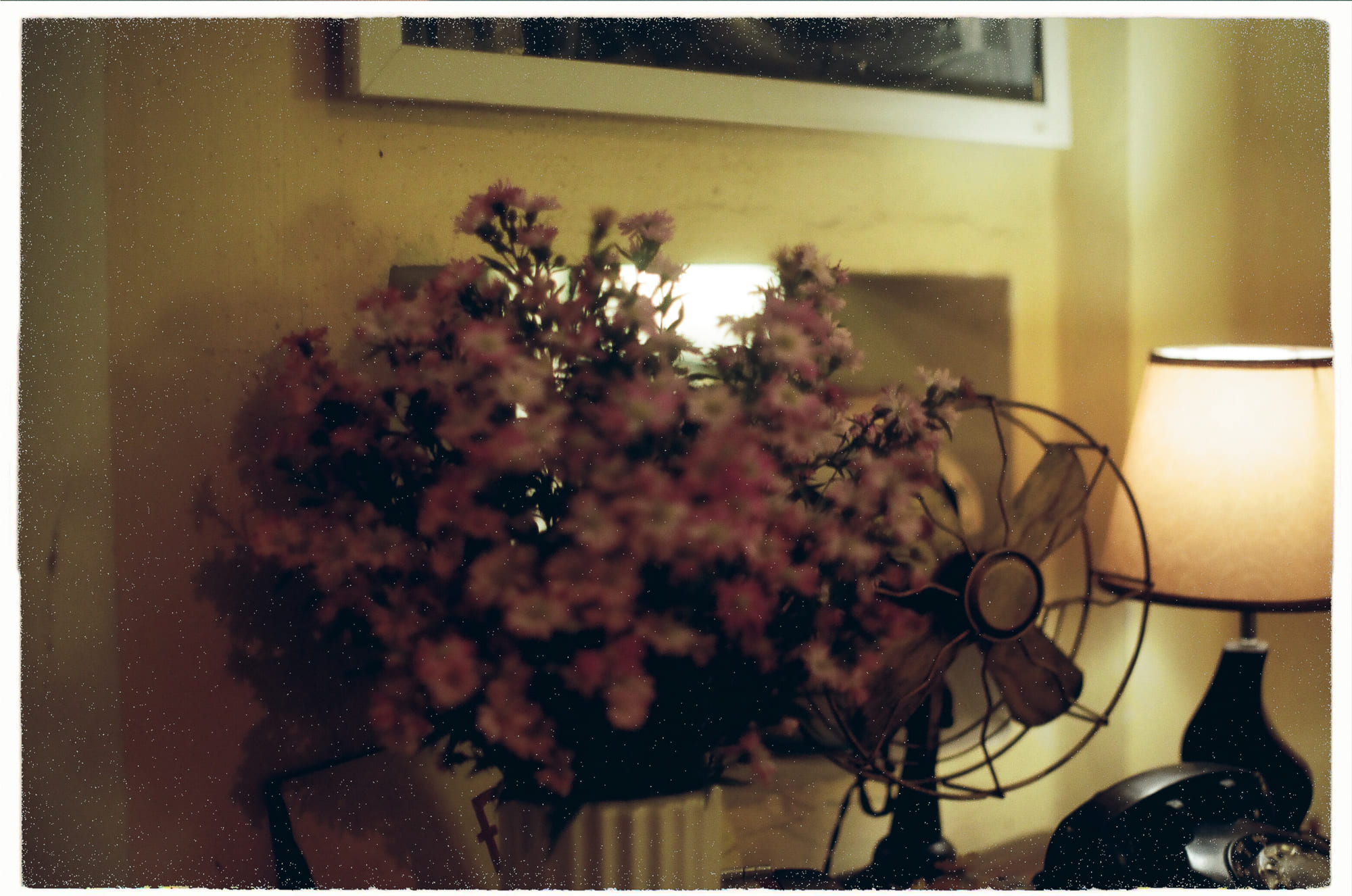 Người Do Thái là dân tộc, tôn giáo hay nền văn minh? 674 – viet lach, nghien cuu, nghien cuu lich su, nghien cuu quoc te, nghien cuu do thai, do thai, lich su do thai, tu tuong do thai, lich su luu day, do thai hien dai, ky uc do thai, xung dot do thai, ban sac do thai.