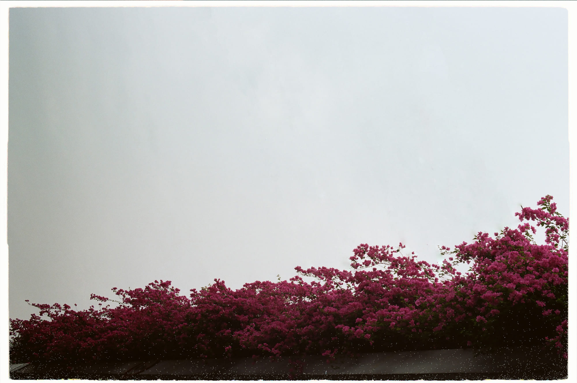 Chúng ta cách vị trí của vụ nổ Big Bang bao xa?