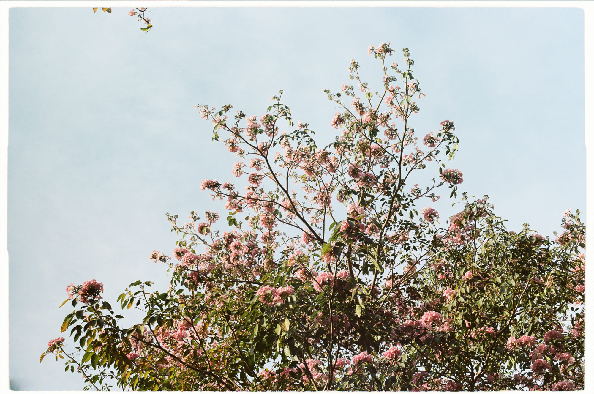 5 nhà tư tưởng vĩ đại đã từ bỏ chính ý tưởng của mình 410 – khoa hoc, y thuc, tu duy, triet hoc, phan boi niem tin, phan triet, tu tuong, triet gia sai lam, tu do tu tuong, tu bo y tuong triet hoc, simone weil, ludwig wittgenstein, karl marx, immanuel kant, augustine of hippo, tu bo tu tuong.