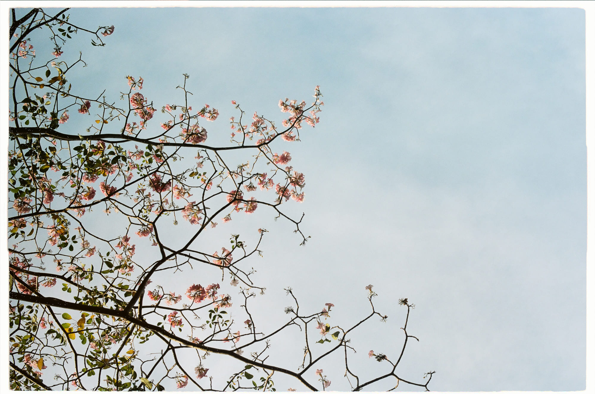 10 bài học triết học từ Alan Watts