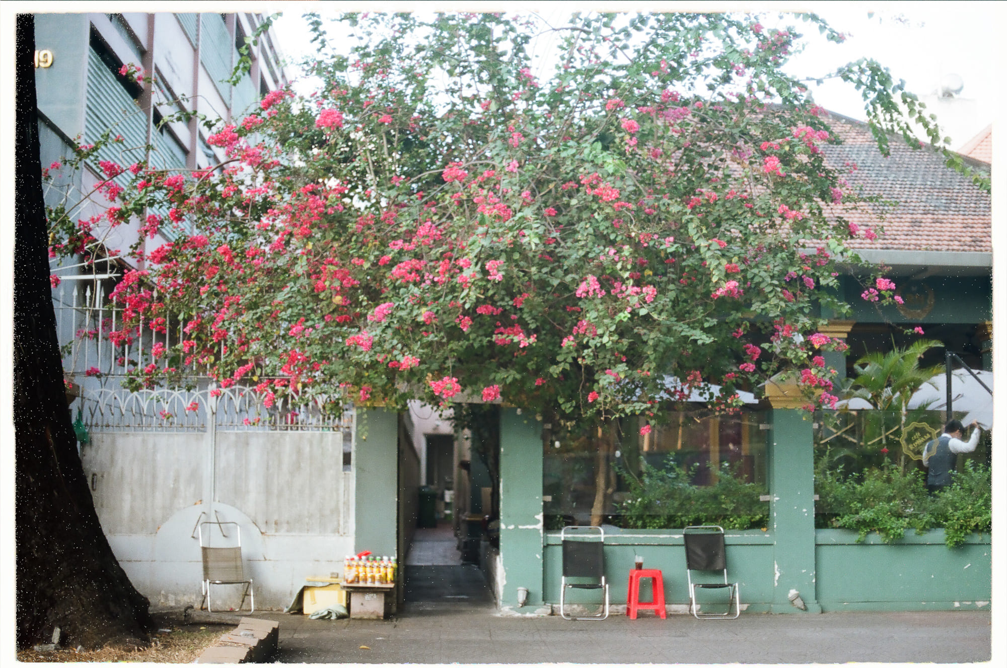 Ngôn ngữ, im lặng và giới hạn của biểu đạt văn chương hậu Auschwitz